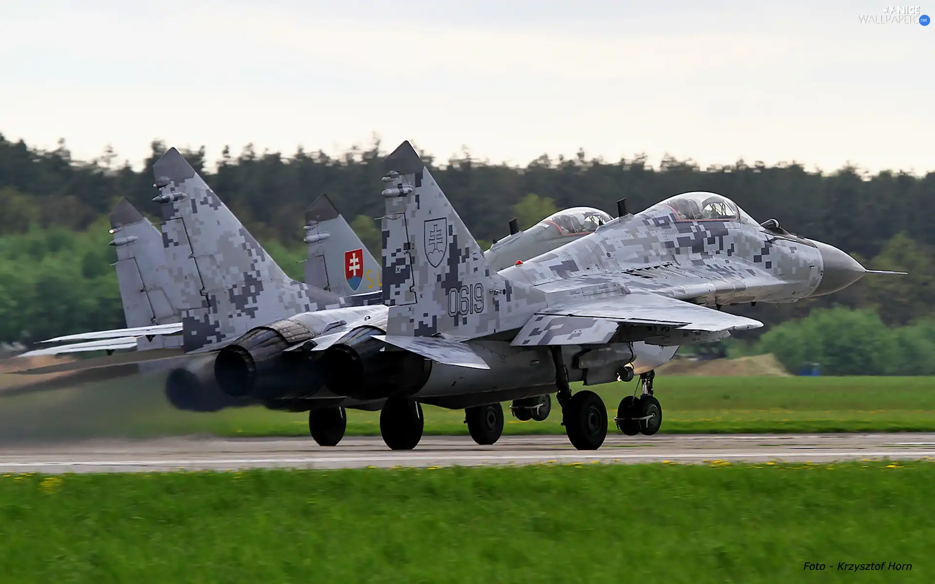 common, MiG-29, Start