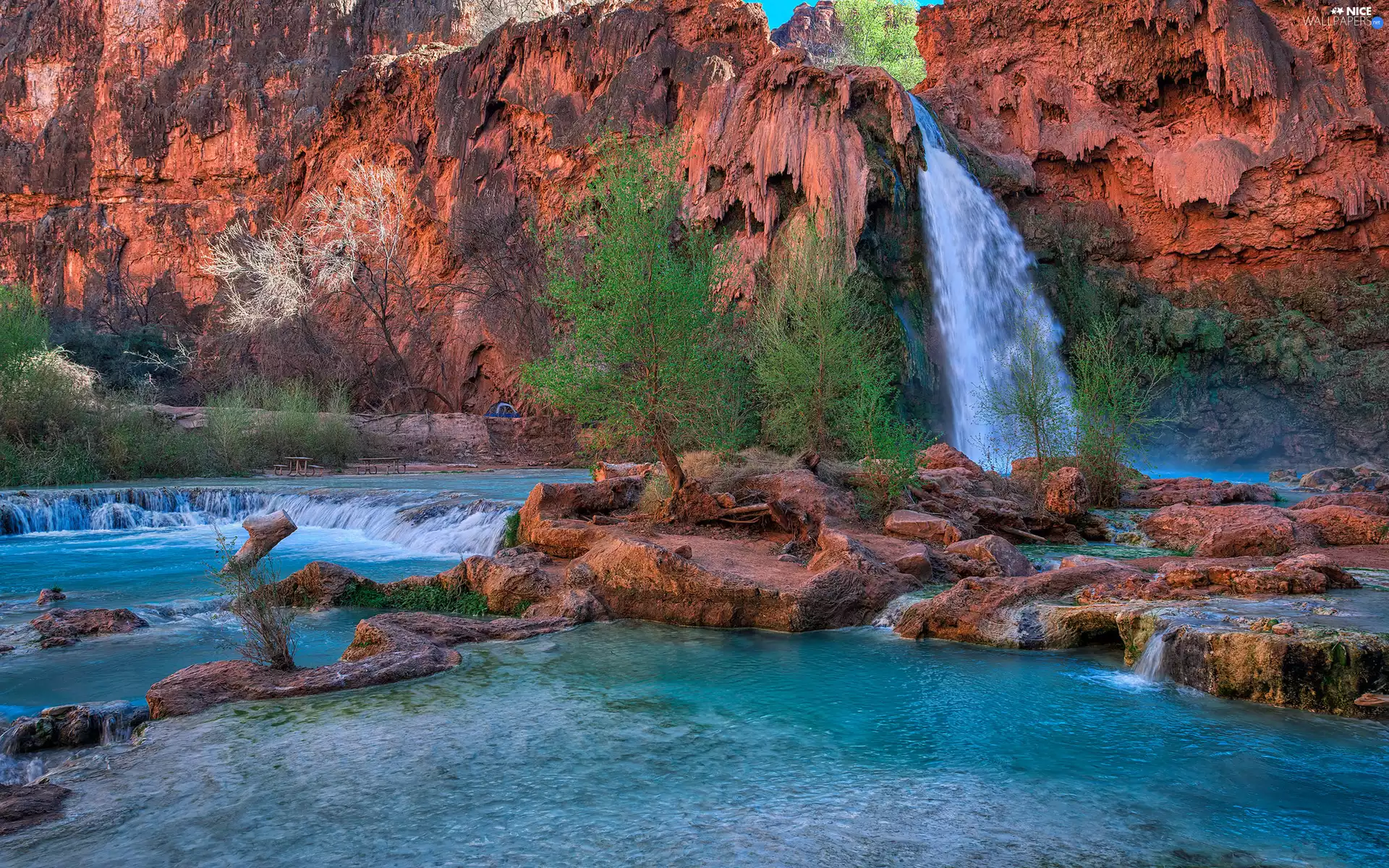Havasu Creek River, Havasu Falls, Grand Canyon National Park, Arizona, viewes, rocks, canyon, trees, The United States