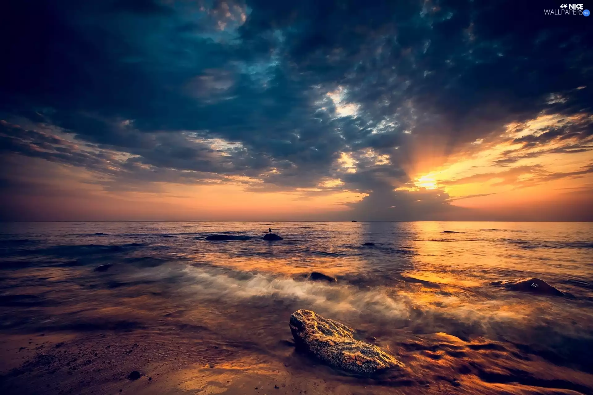 sea, Stone, Bird, Great Sunsets