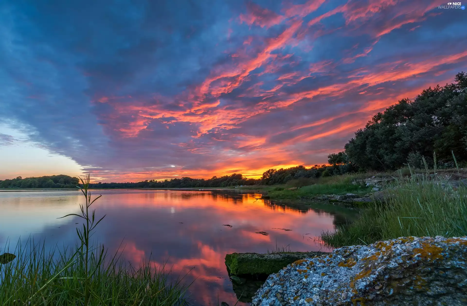 Sky, Great Sunsets, viewes, color, lake, trees, Stone
