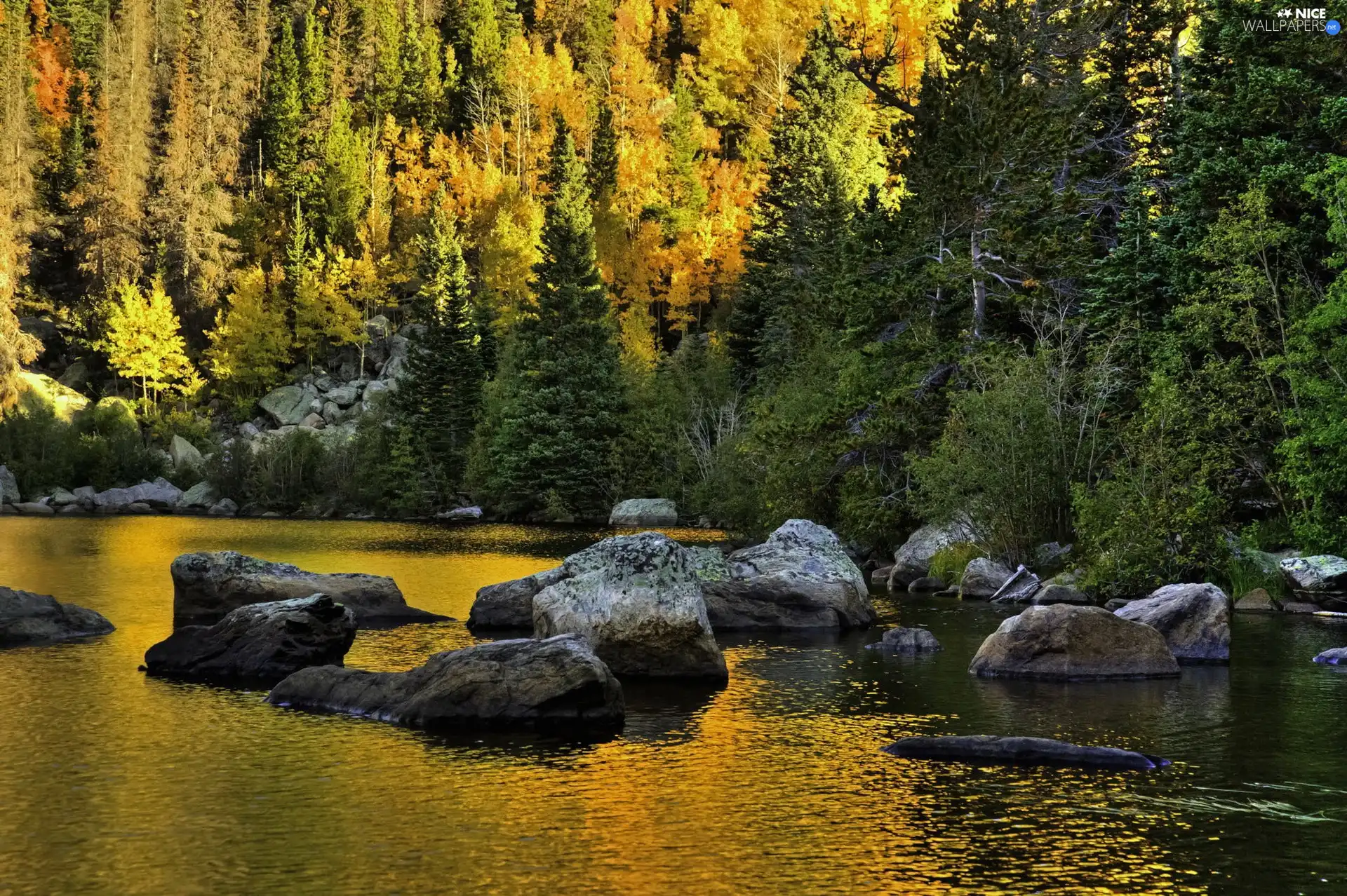 Stones, autumn, Mountains, woods, River