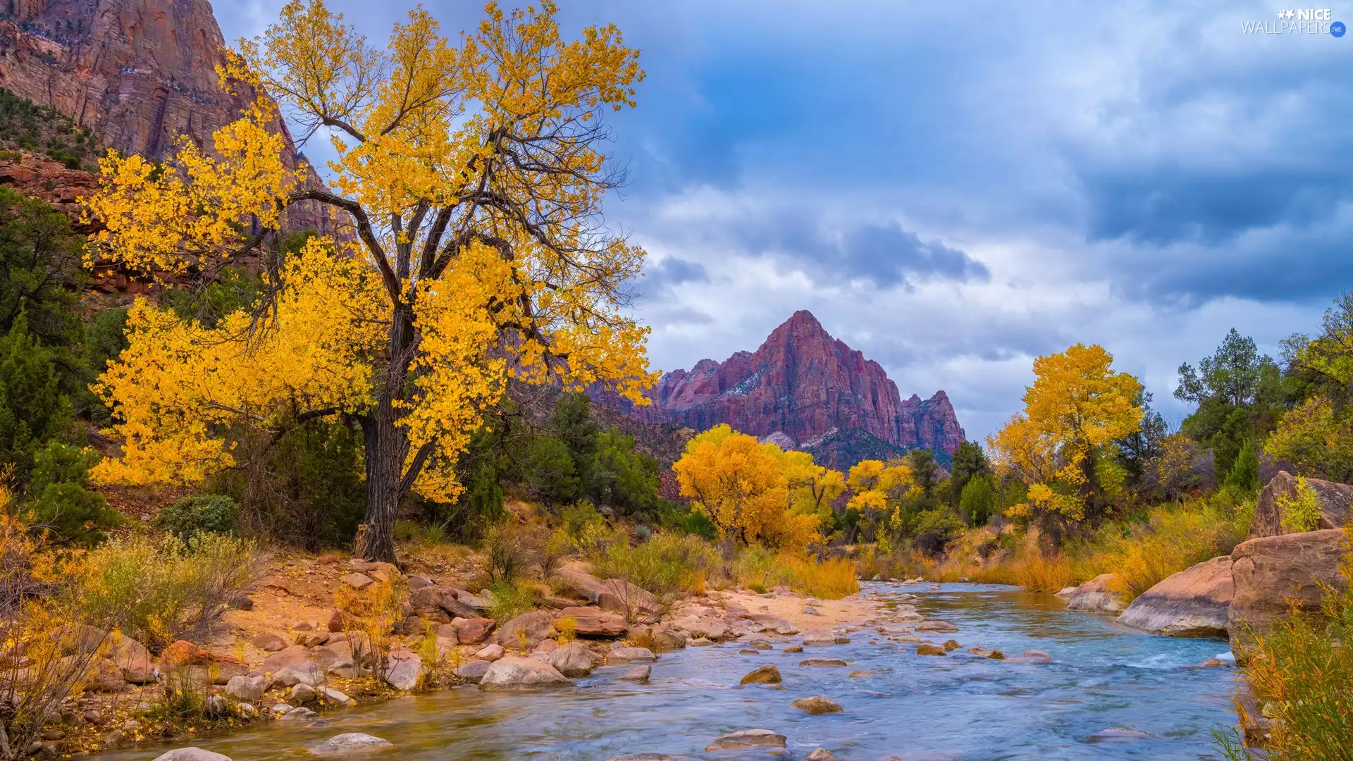 Mountain Watchman, autumn, viewes, trees, Stones, The United States, Utah State, Mountains, Zion National Park, clouds, Virgin River