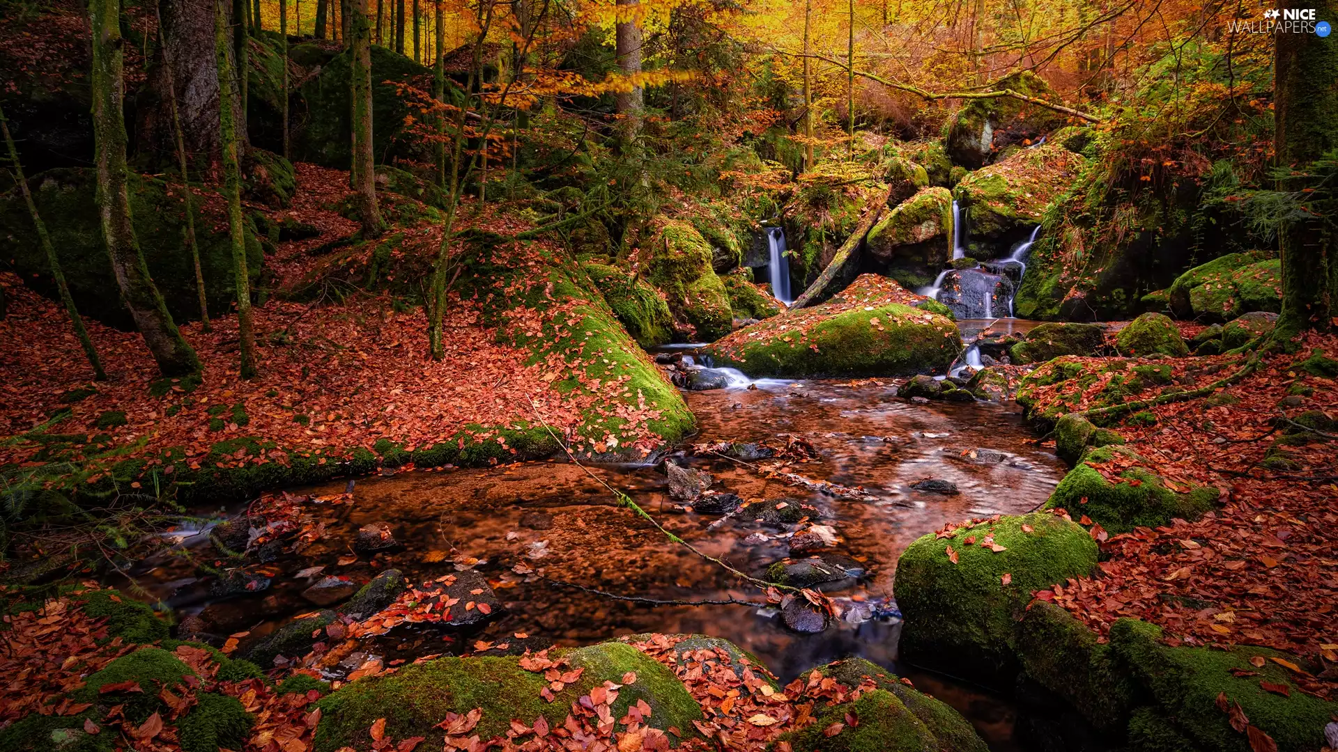 Stones, River, viewes, fallen, mossy, forest, trees, Leaf, autumn, rocks