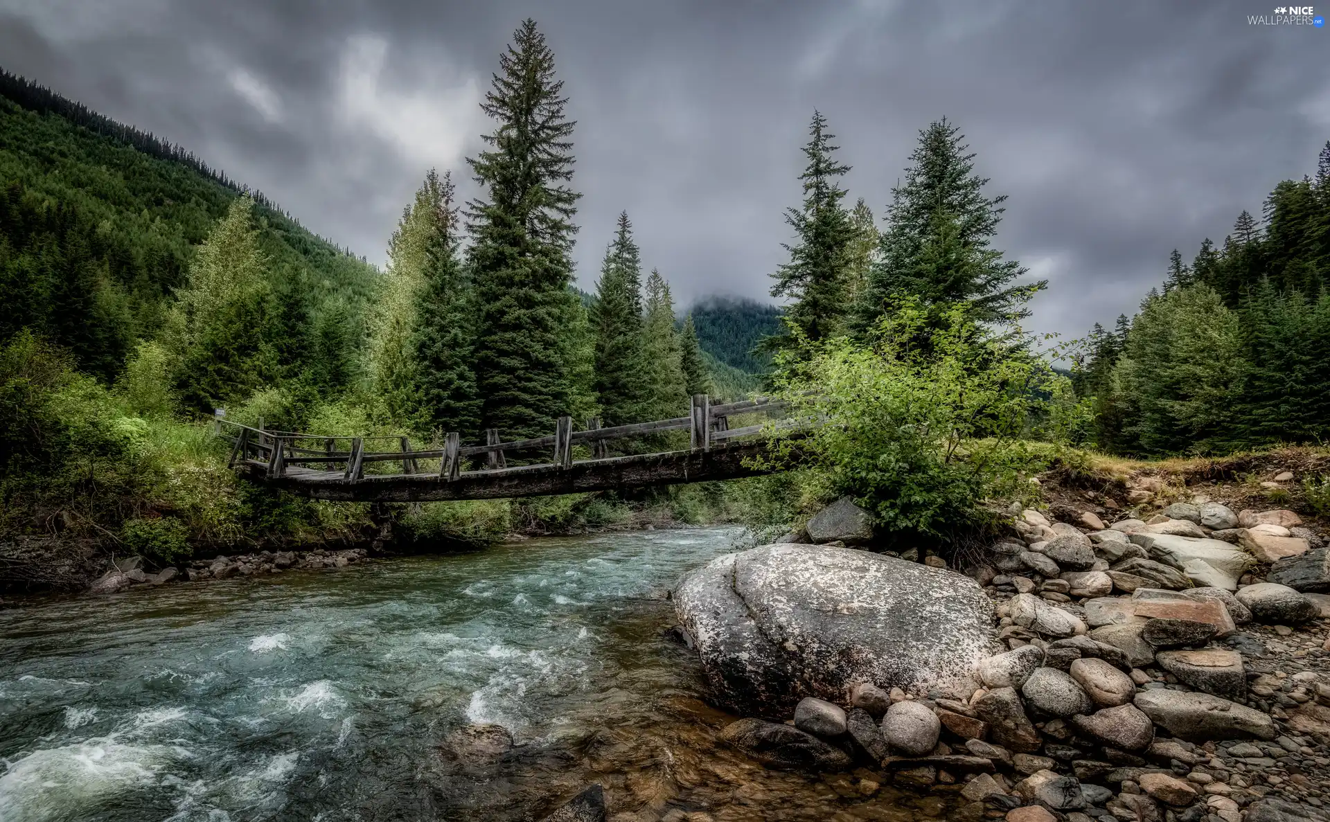 trees, forest, River, Stones, viewes, bridge