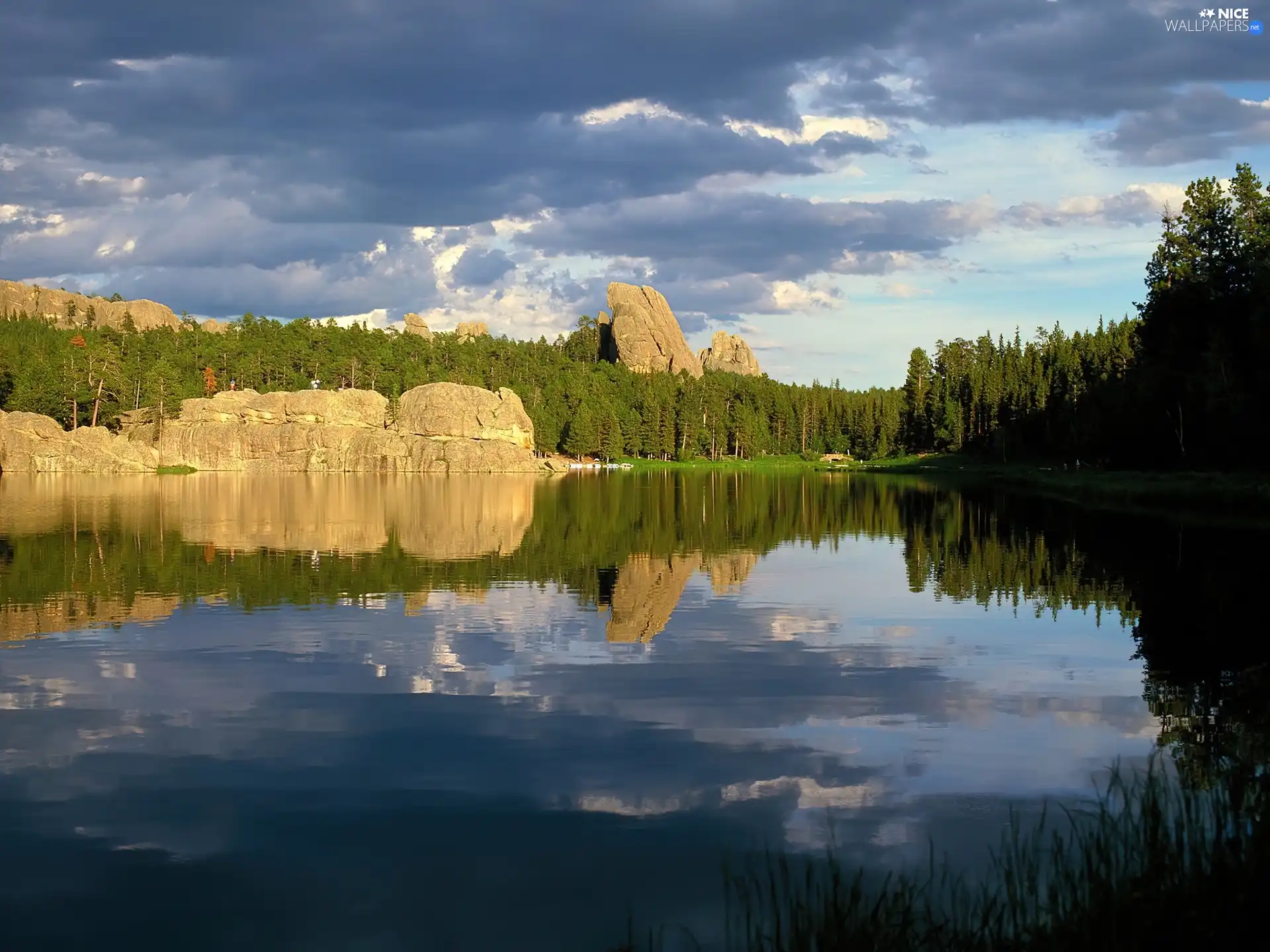 clouds, forest, Stones rocks, lake