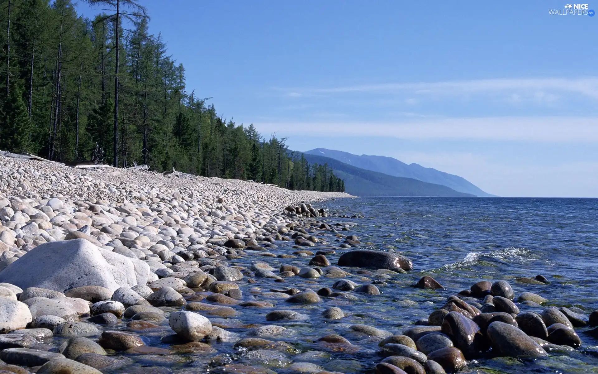 Coast, Mountains, Stones, woods