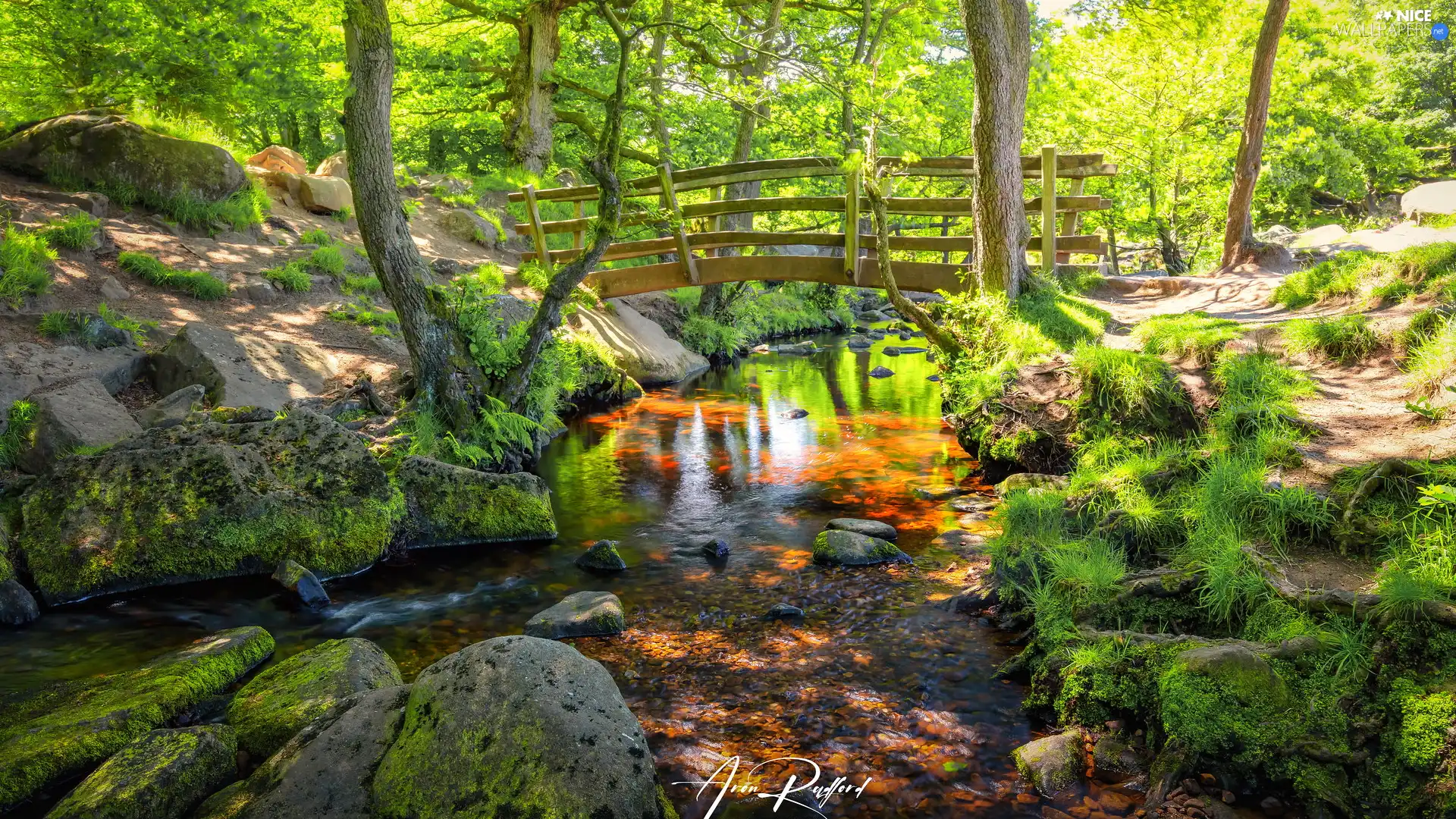 bridges, trees, day, viewes, sunny, wooden, River, Stones