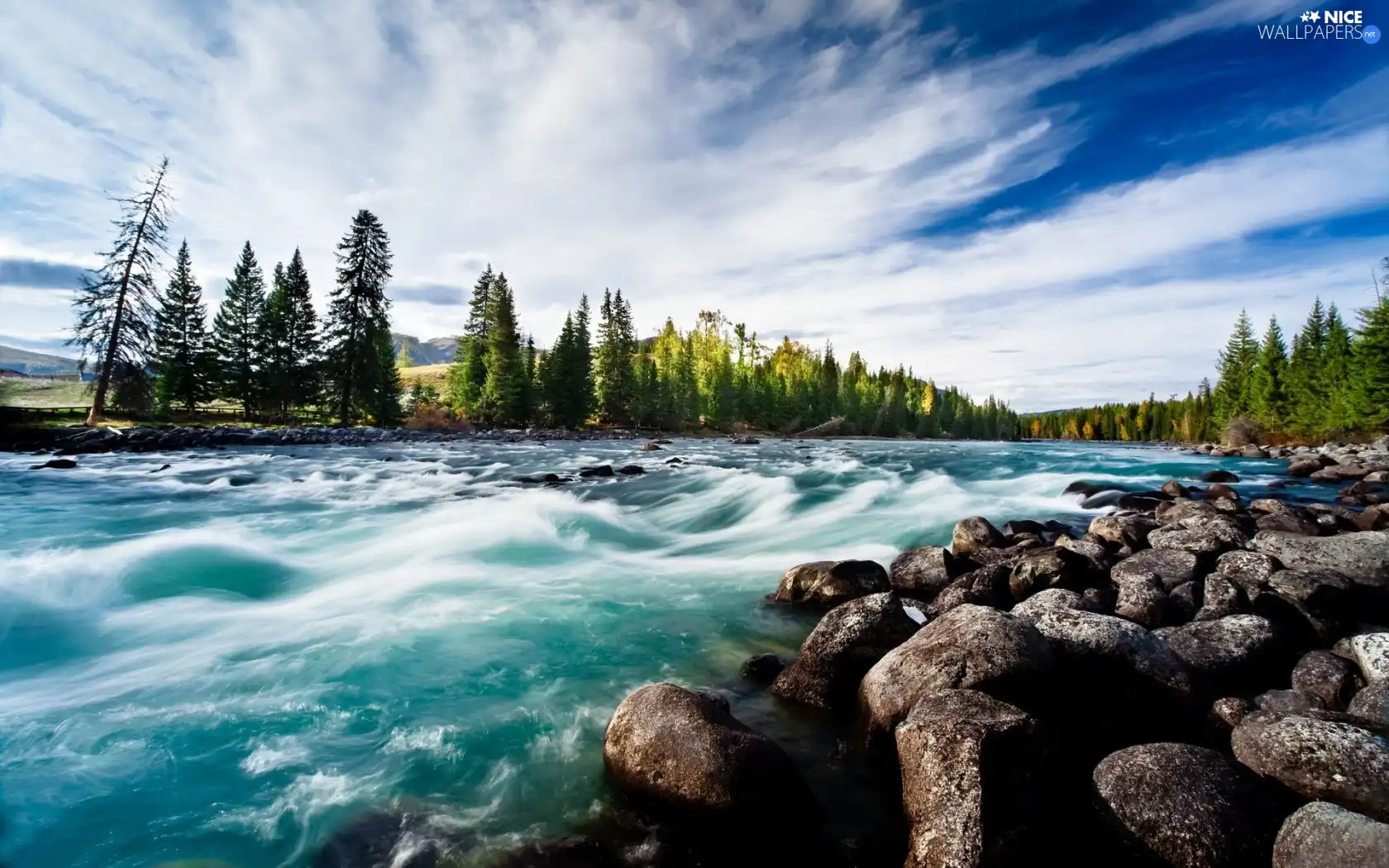 Stones, River, forest