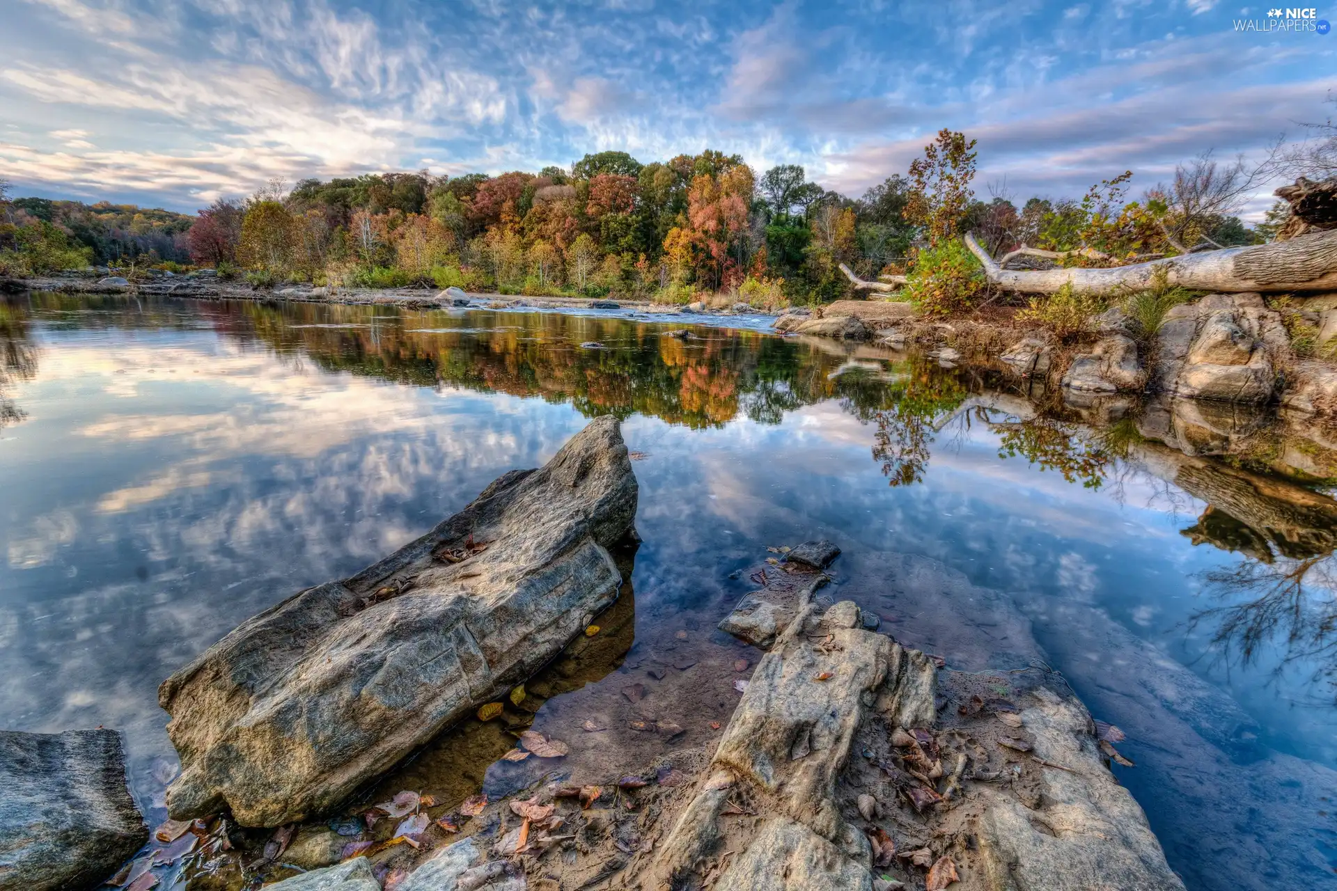 Stones, River, forest