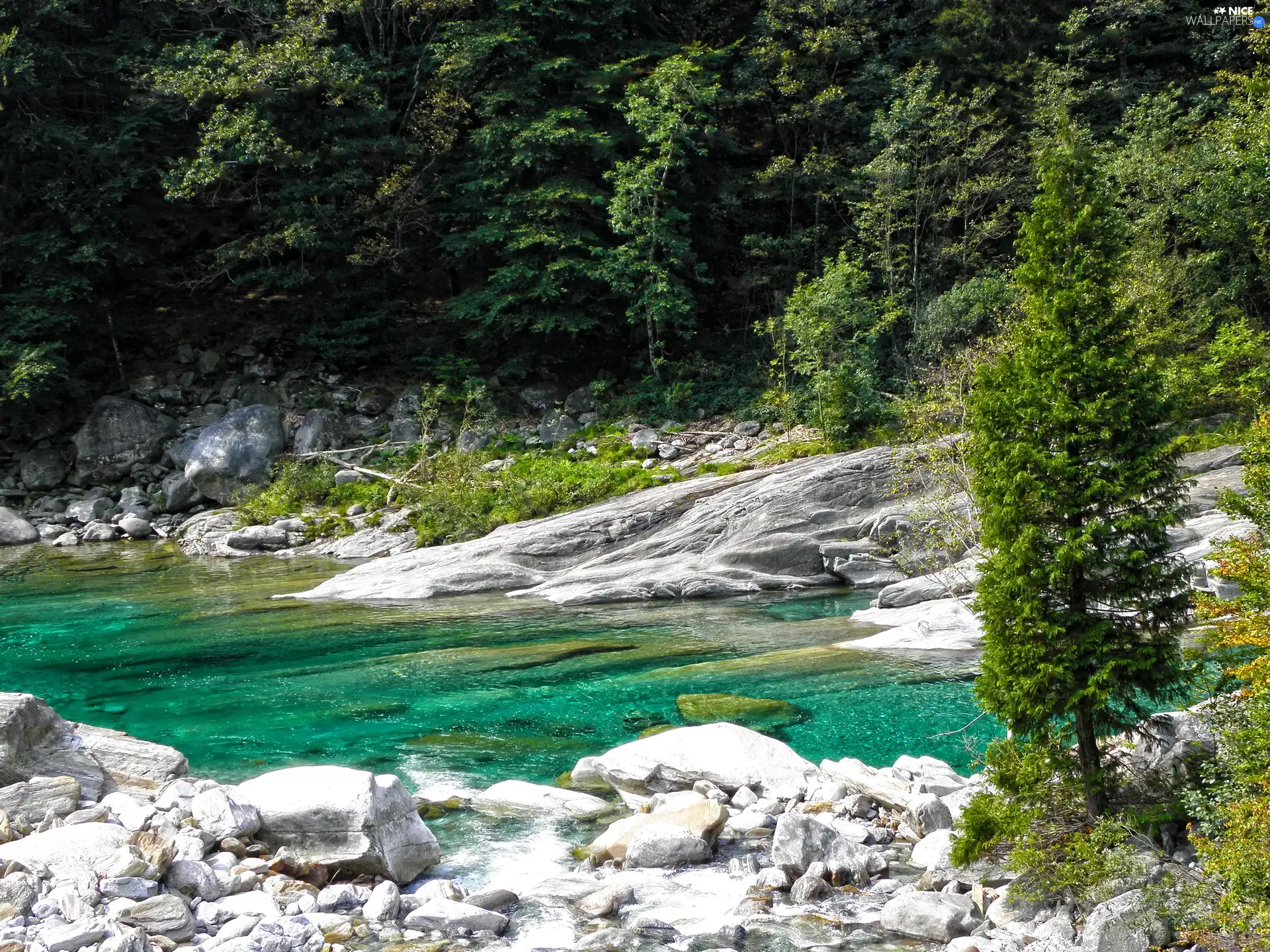 Stones, River, forest