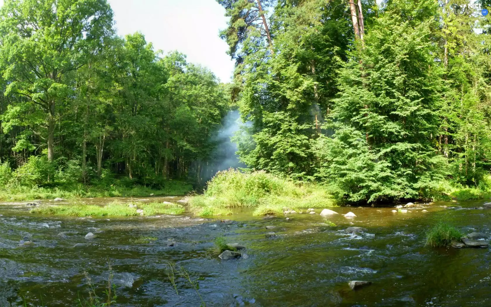 viewes, Stones, forest, trees, River