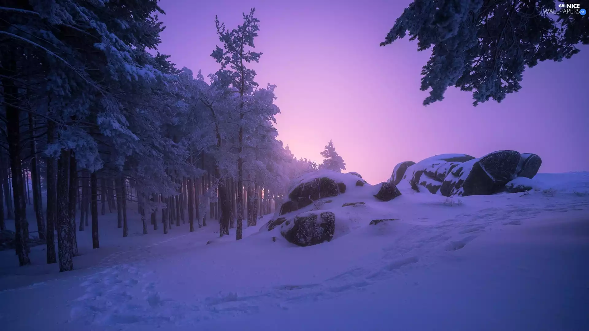 Snowy, winter, viewes, Stones, trees, forest