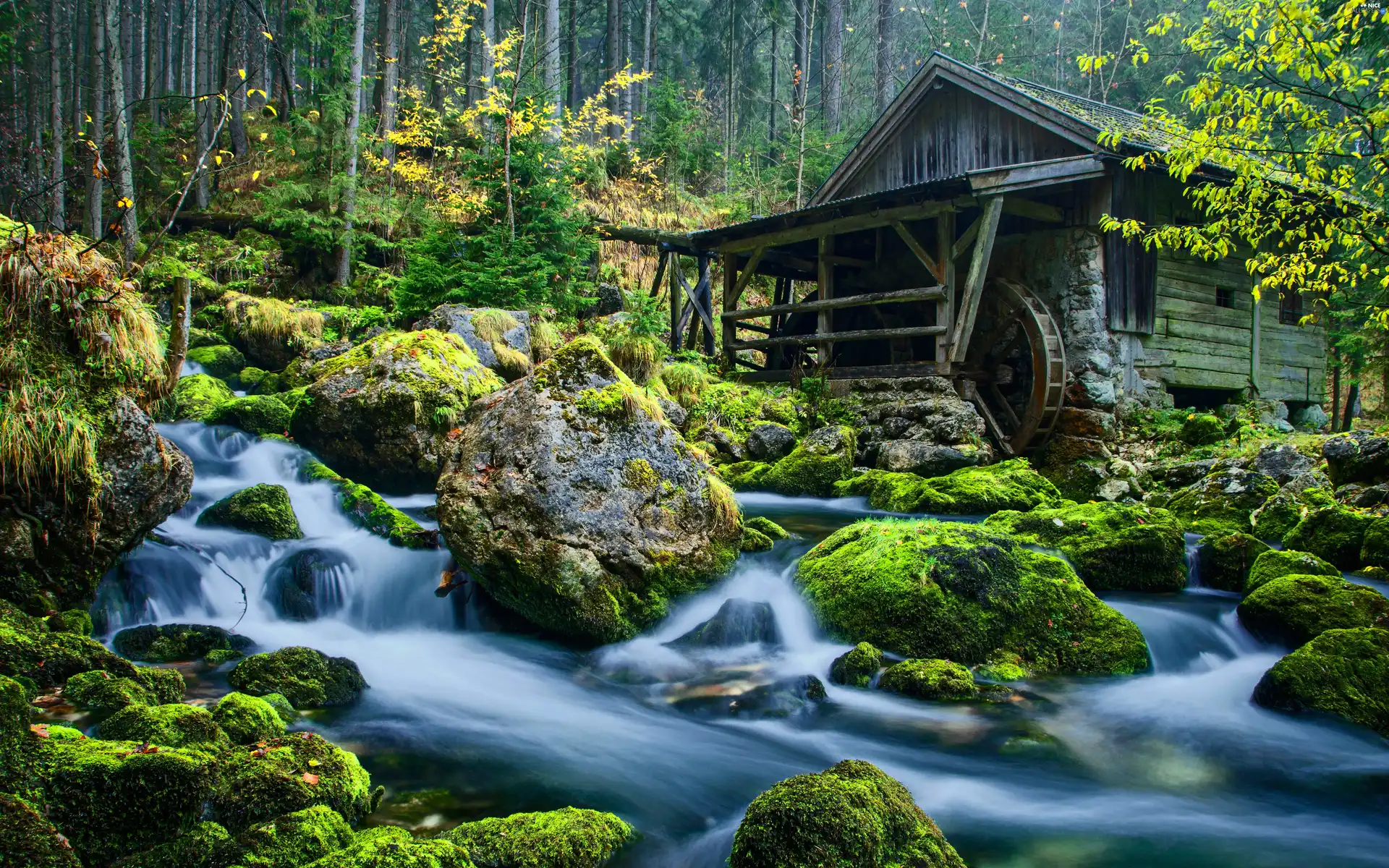 Stones, forest, water, River, Windmill