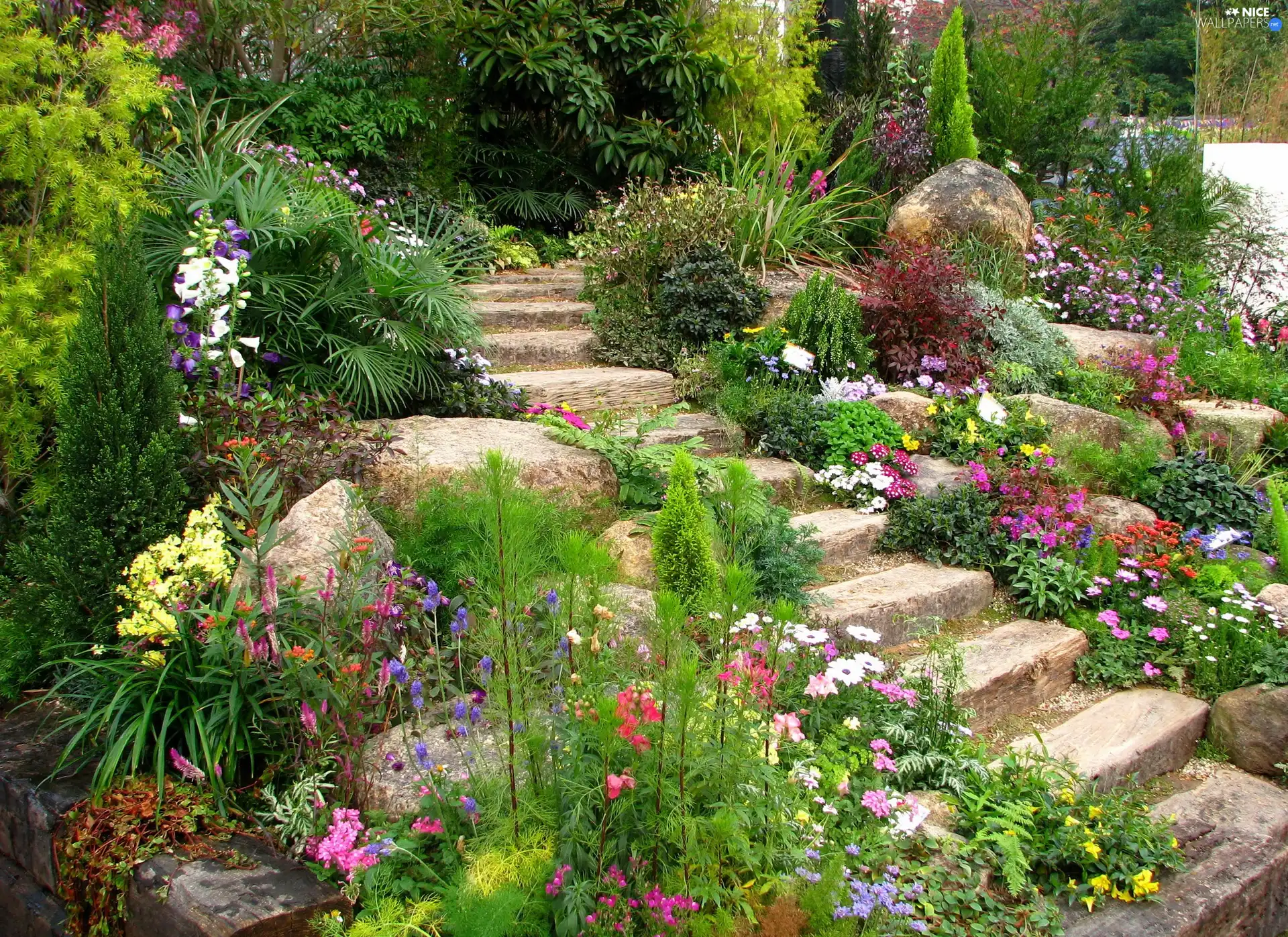 Garden, Stairs, Stones, Flowers