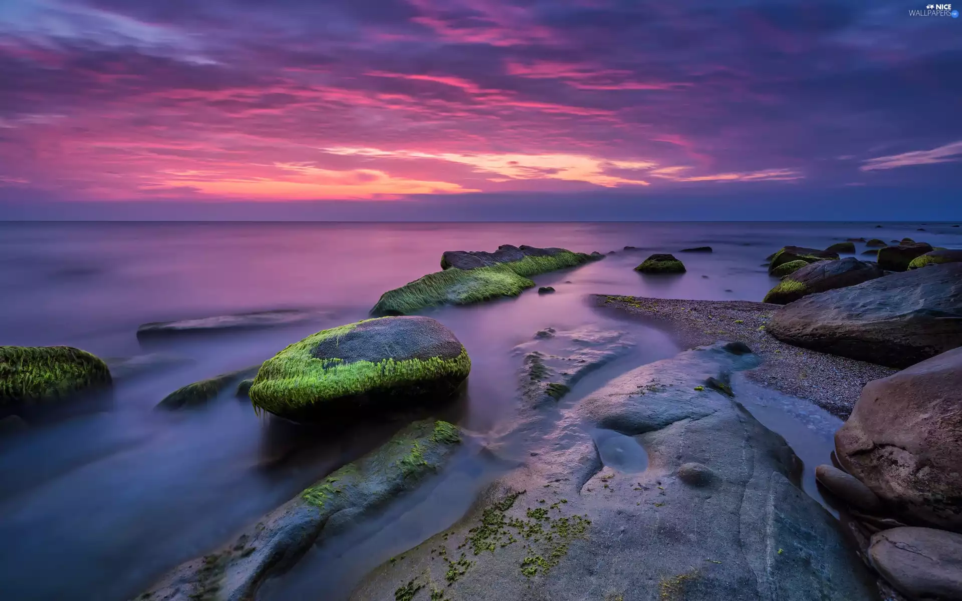 sea, Stones, Great Sunsets, mossy