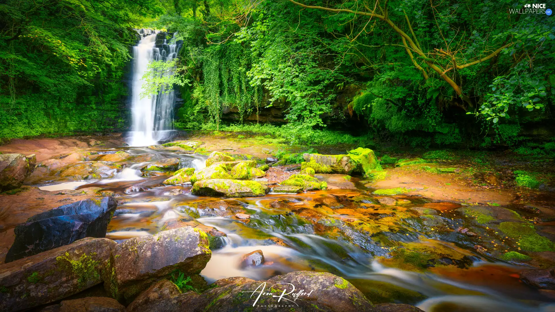 viewes, rocks, green, River, flux, trees, forest, Stones