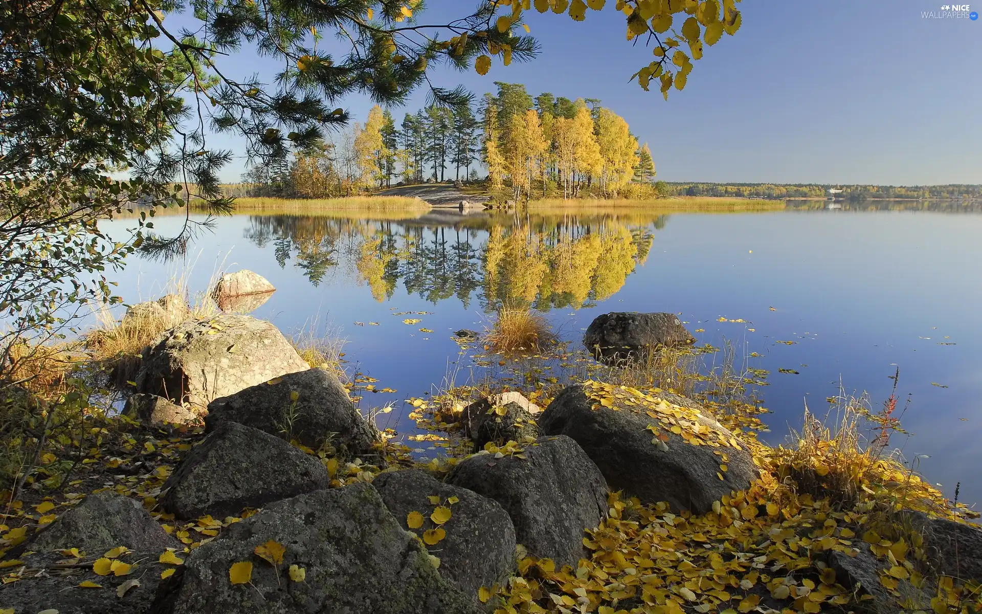 Stones, autumn, lake