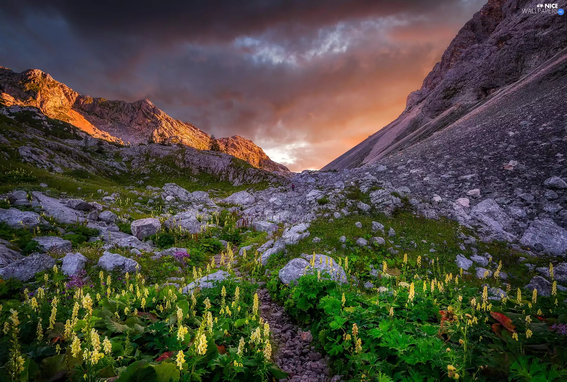 Stones, Mountains, Meadow