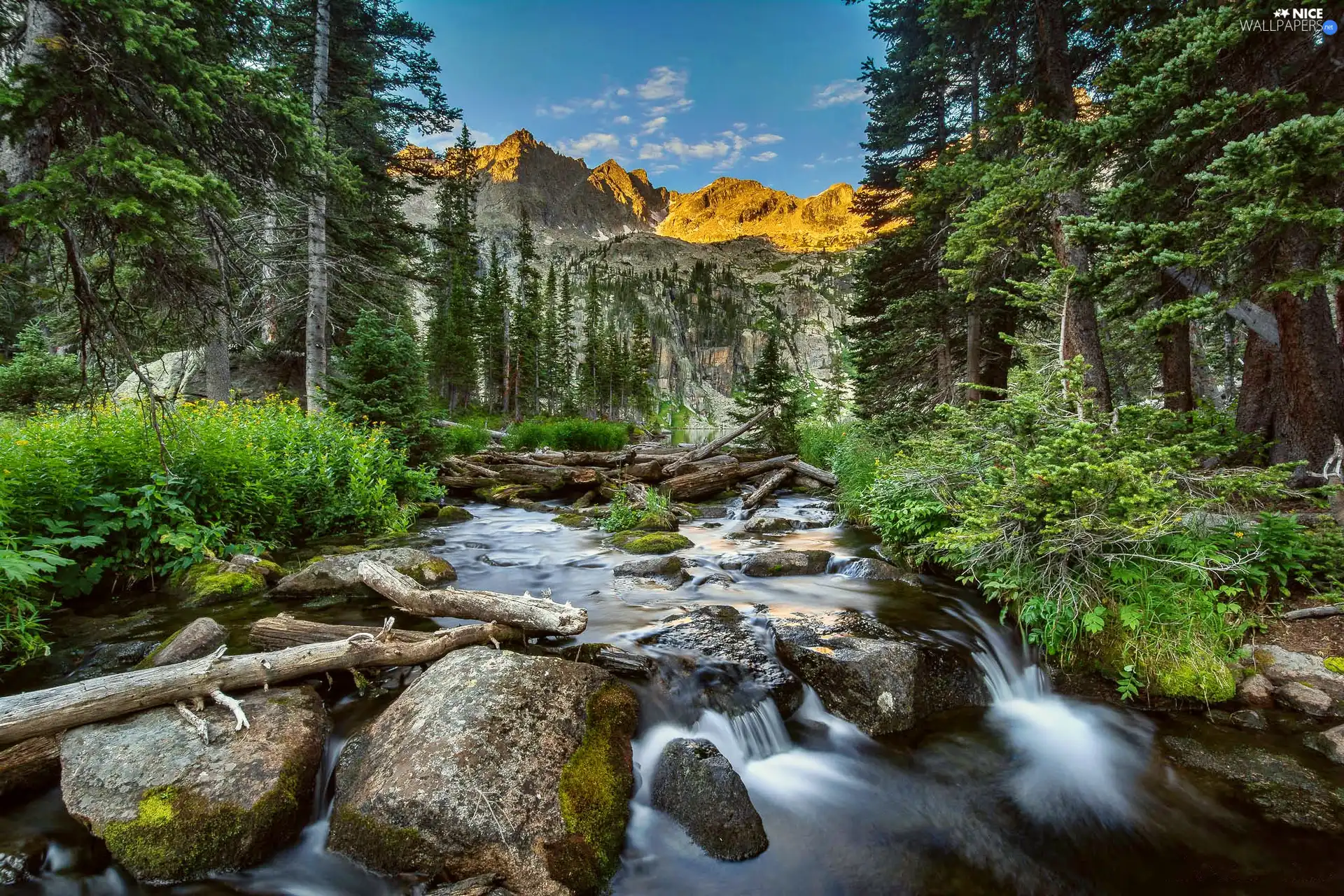 Mountains, River, Stones, forest