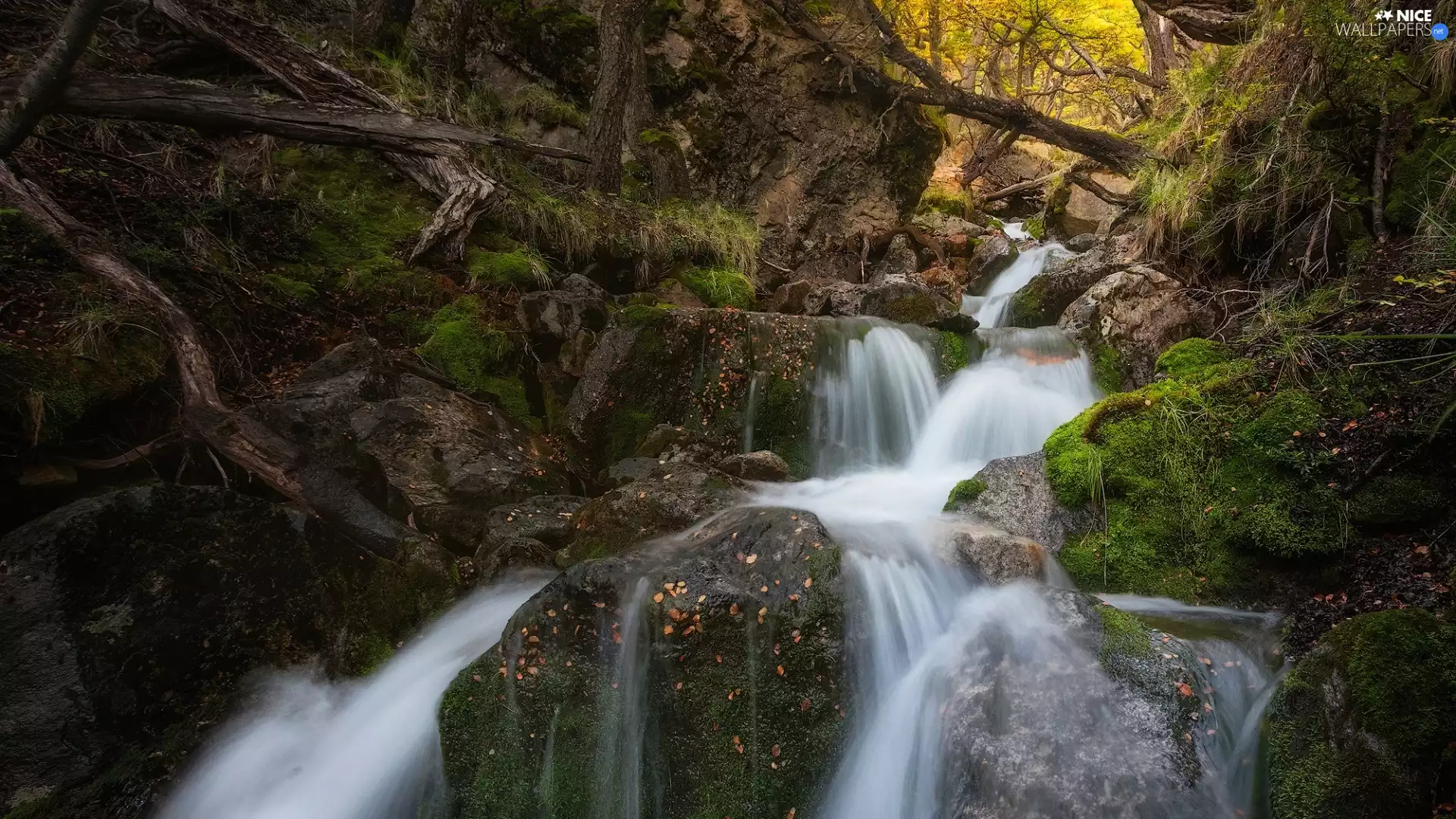 VEGETATION, Patagonia, forest, Stones, River, Argentina, Los Glaciares National Park, rocks, mossy, waterfall