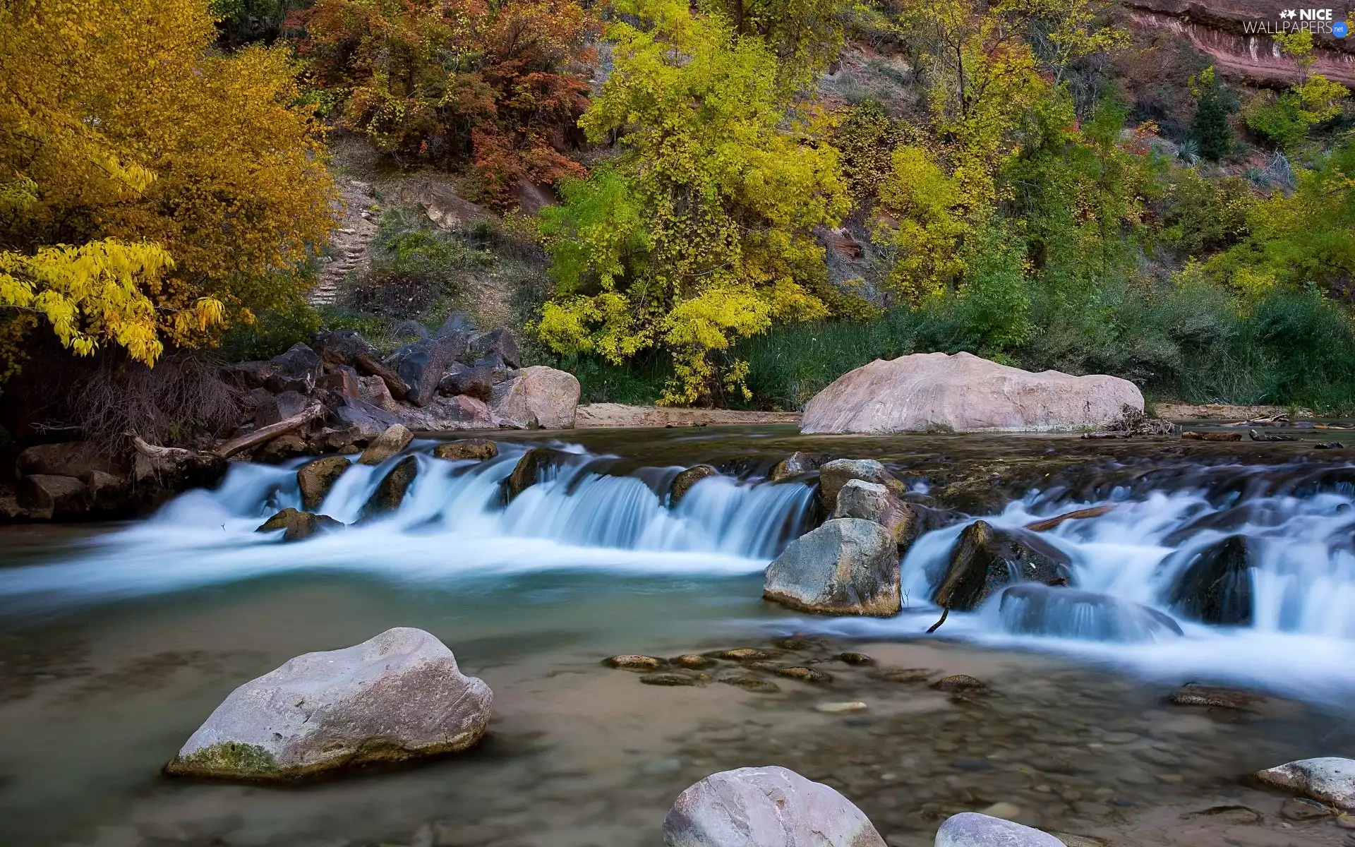 River, forest, autumn, Stones