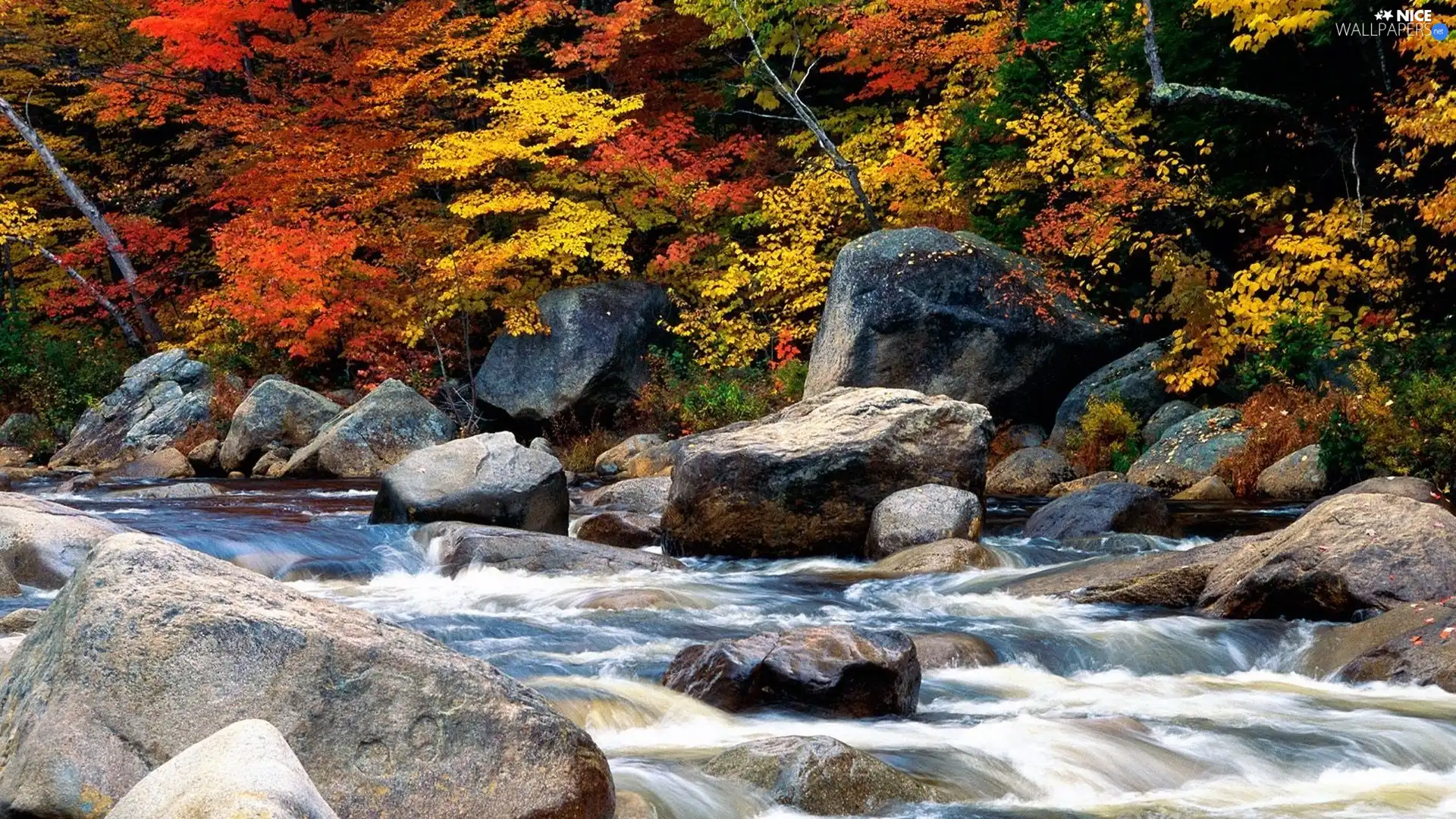 Stones, autumn, River