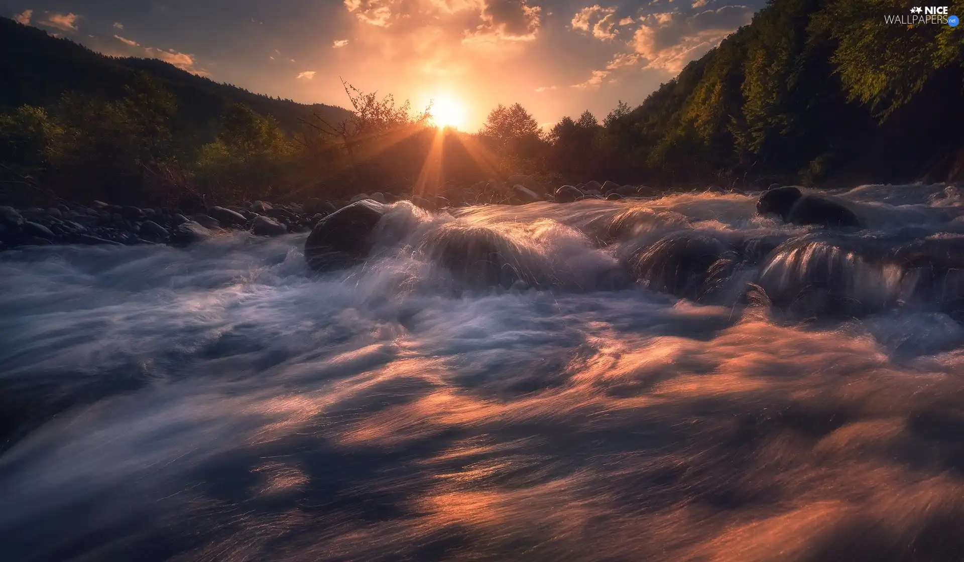 River, Sunrise, forest, Stones