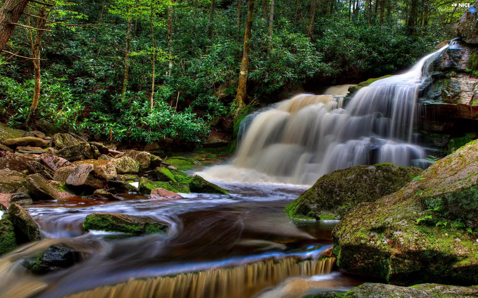 viewes, River, Rocks, mossy, waterfall, trees, forest, Stones