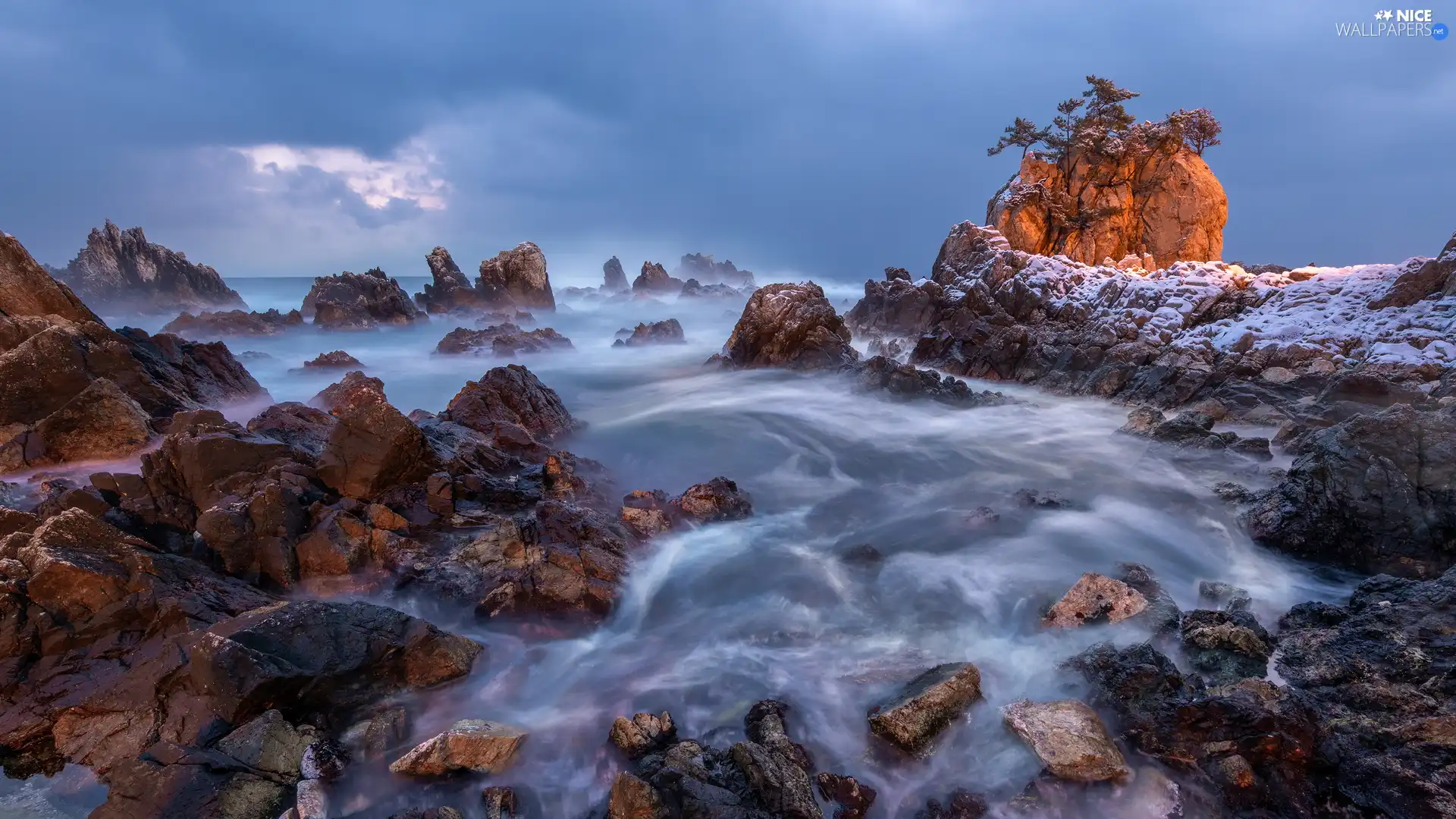 Rocks, sea, viewes, Stones, trees, rocks
