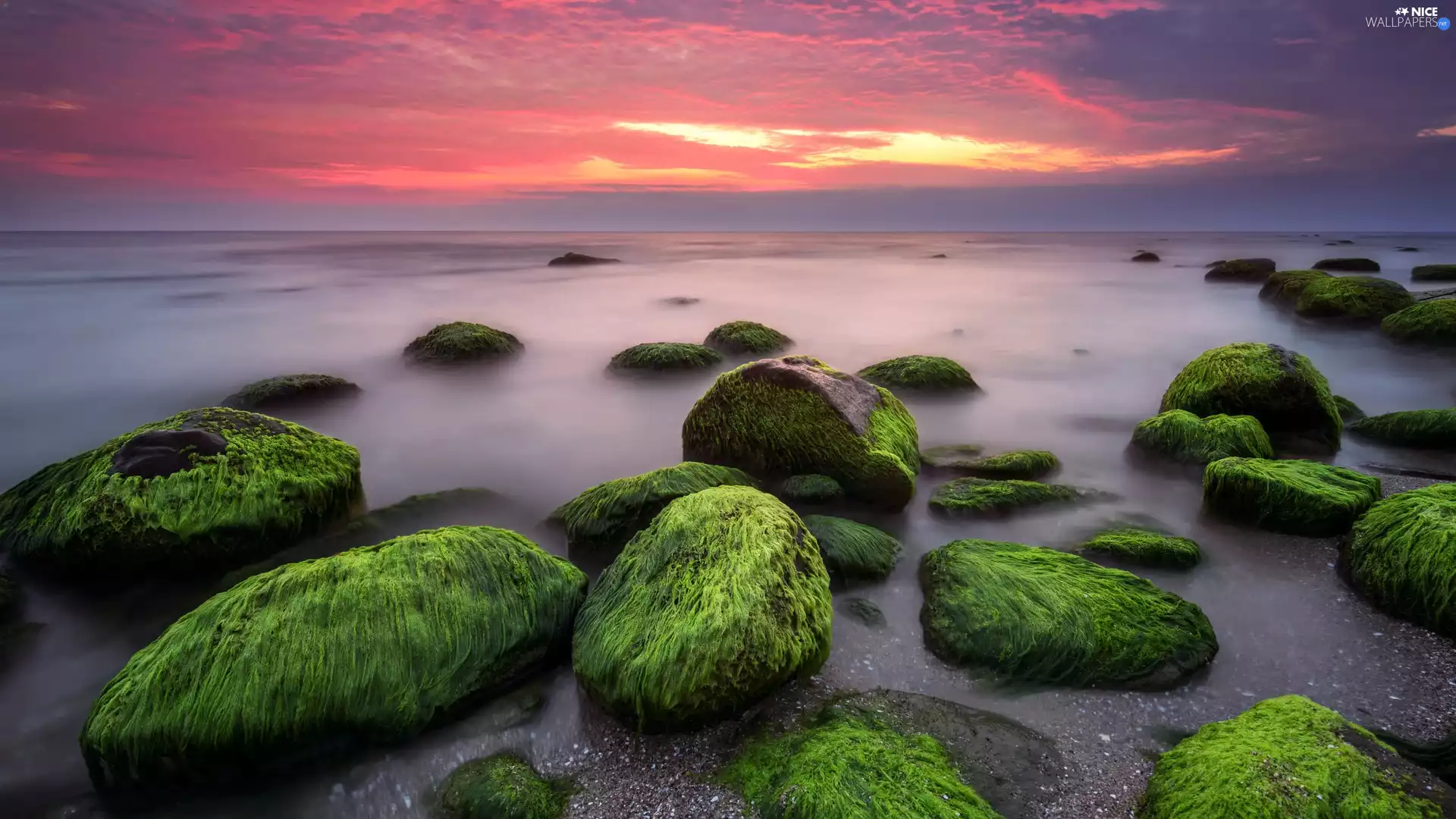 sea, Stones, seaweed, Great Sunsets