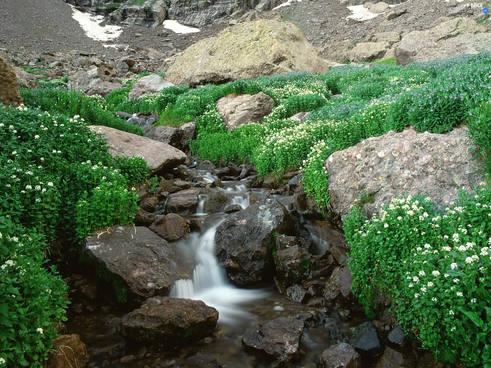 stream, Stones