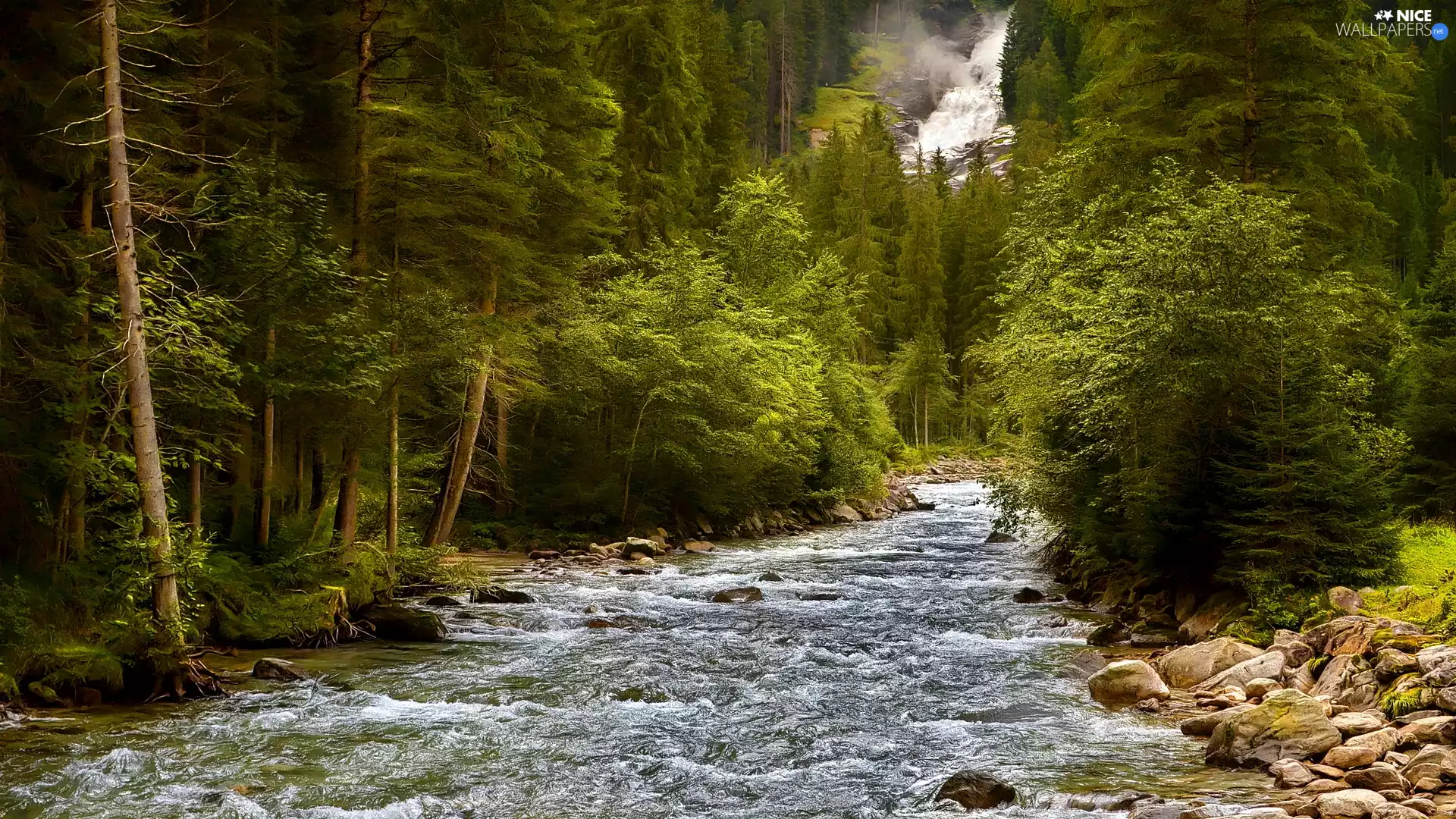 forest, current, viewes, Stones, River, trees, waterfall