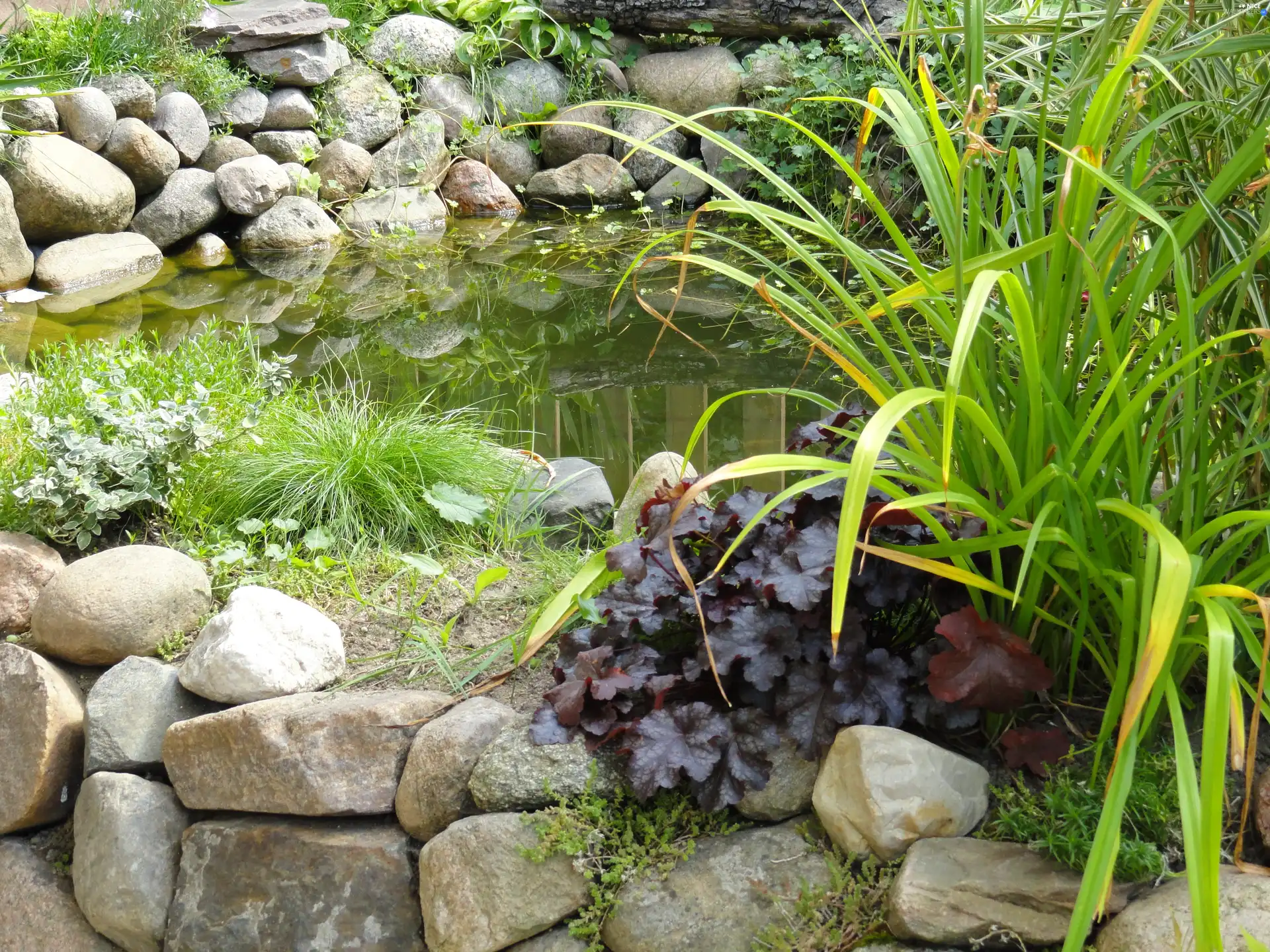 Stones, eye, water