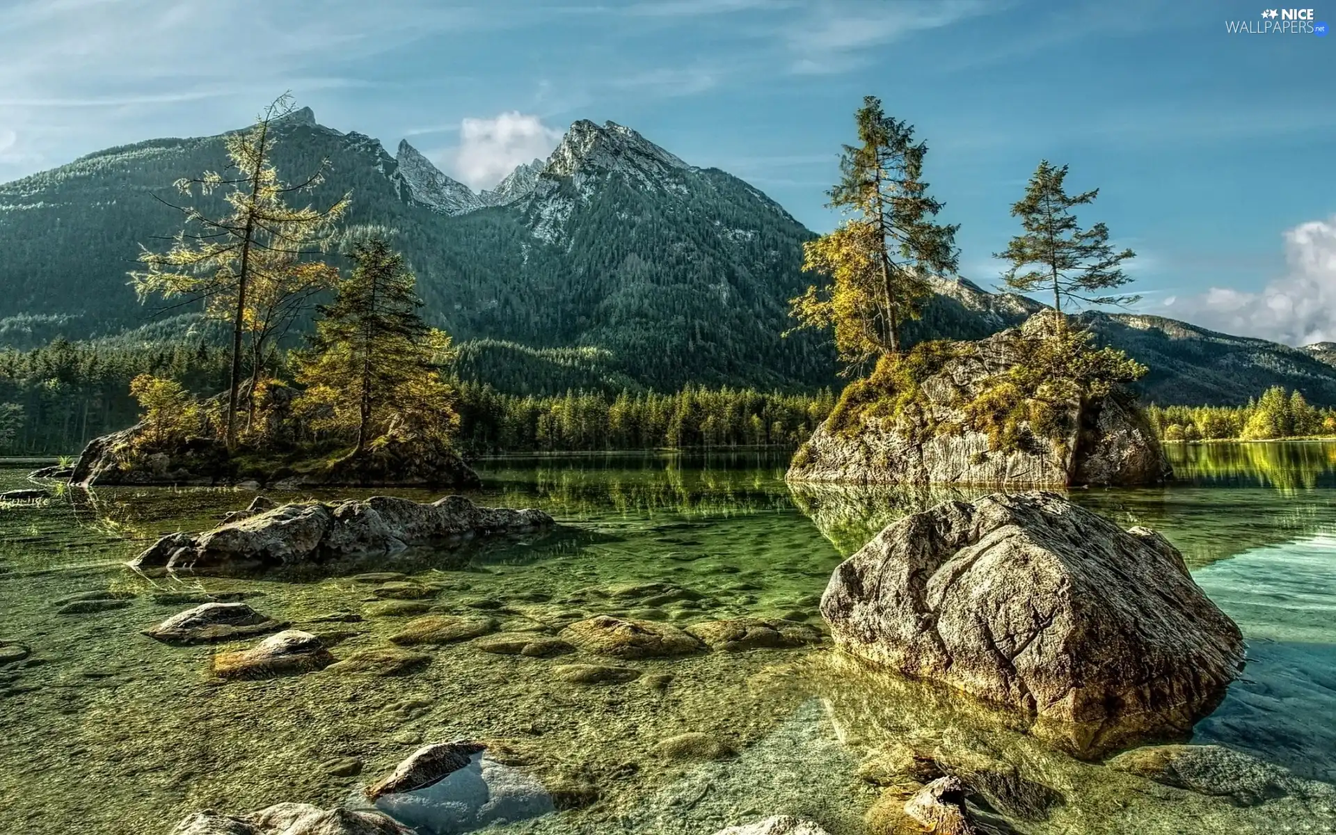 Stones, water, trees, viewes, Mountains