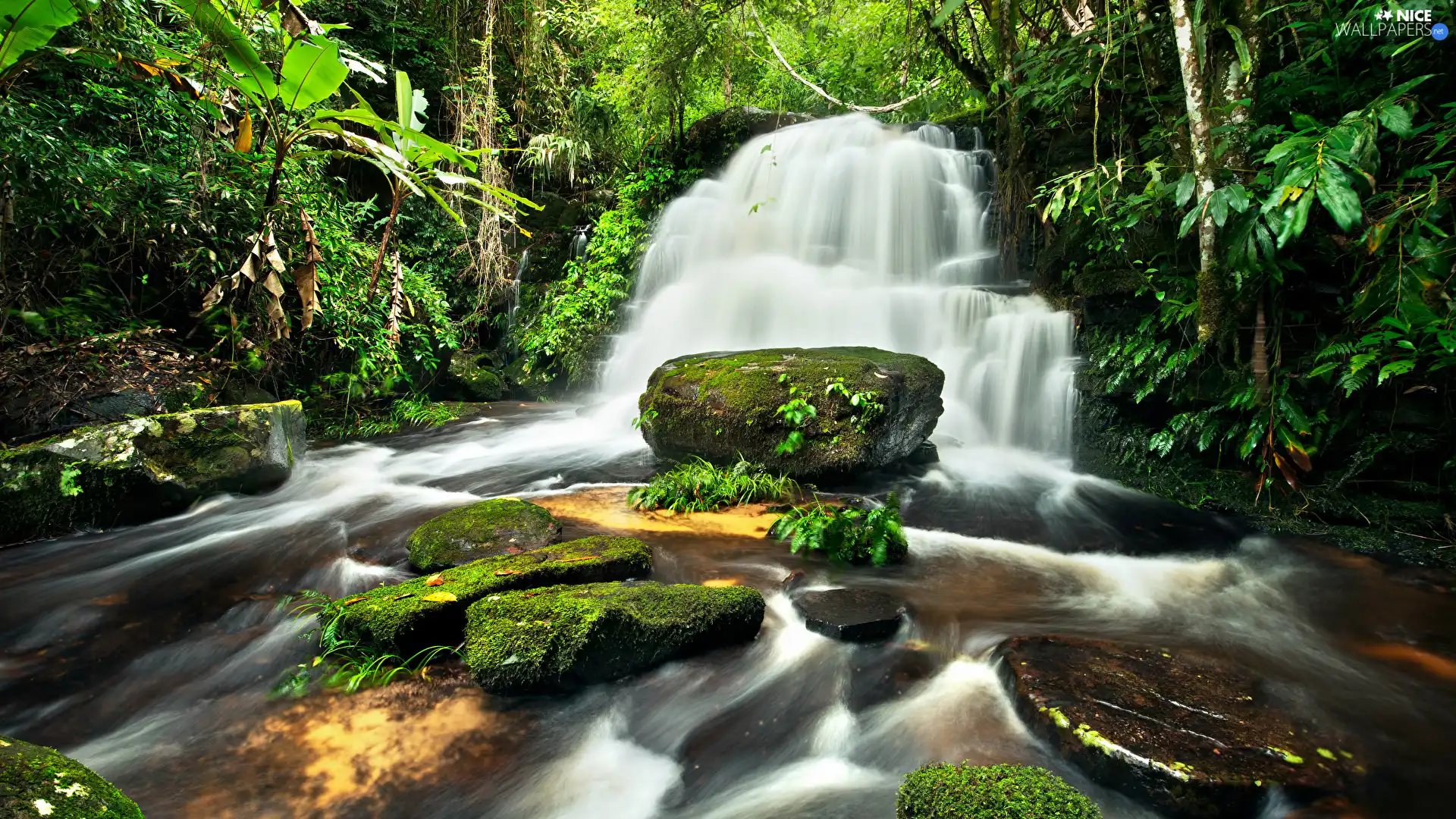 Stones, jungle, waterfall