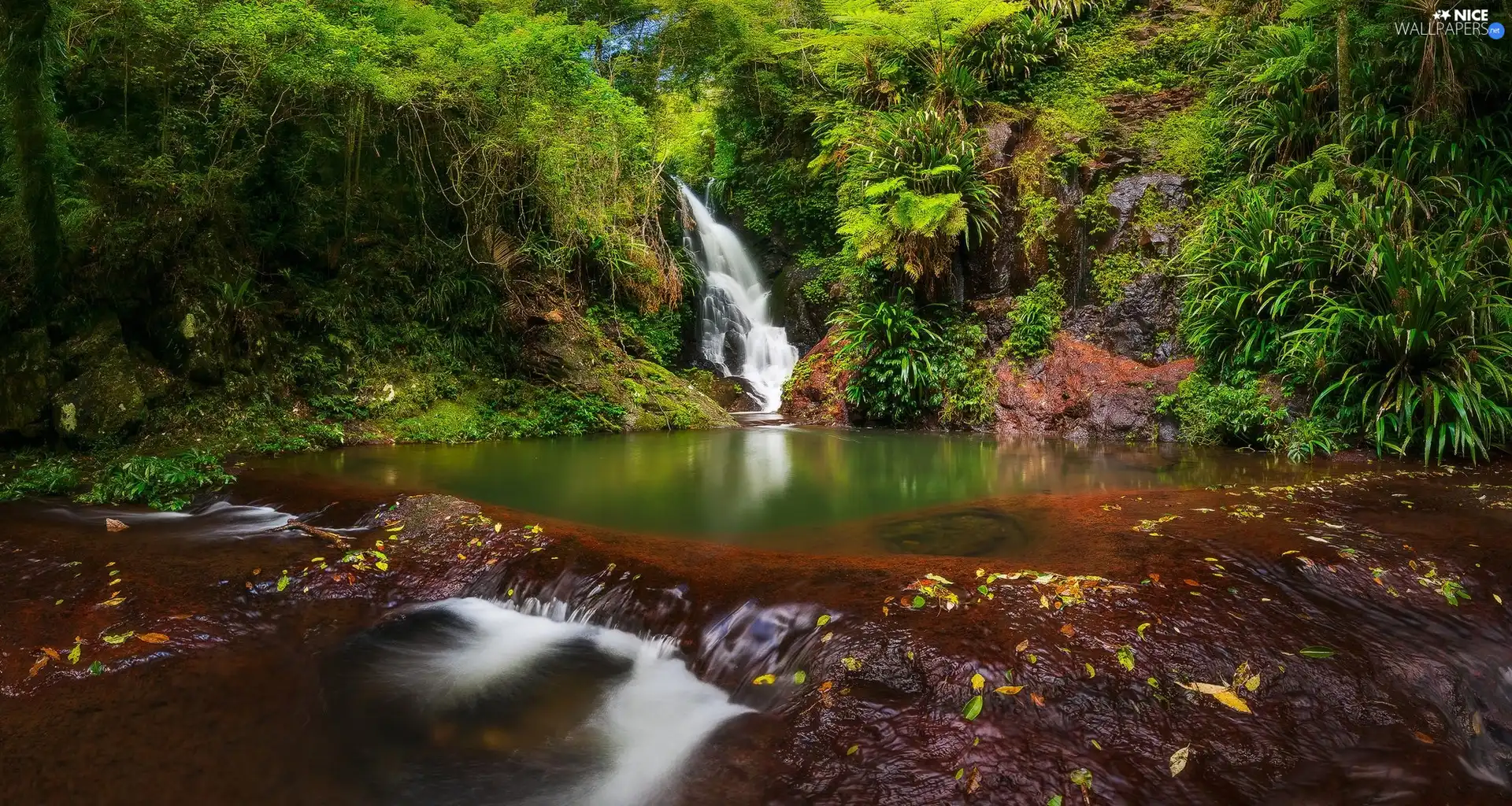 waterfall, VEGETATION, Stones, River