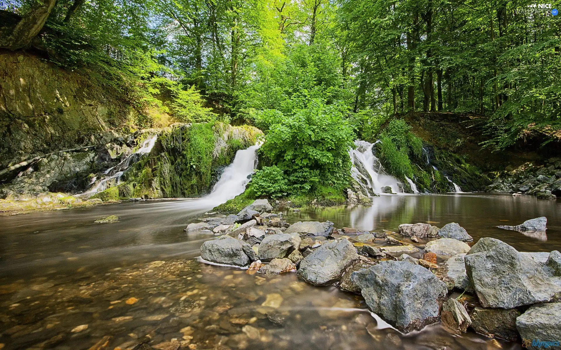 waterfall, viewes, Stones, trees