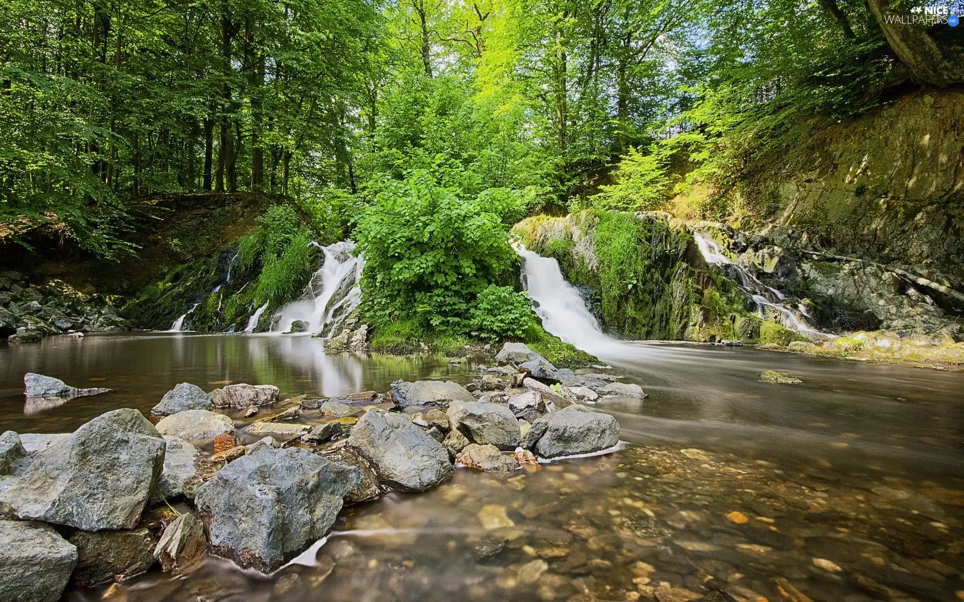 Stones, forester, waterfalls