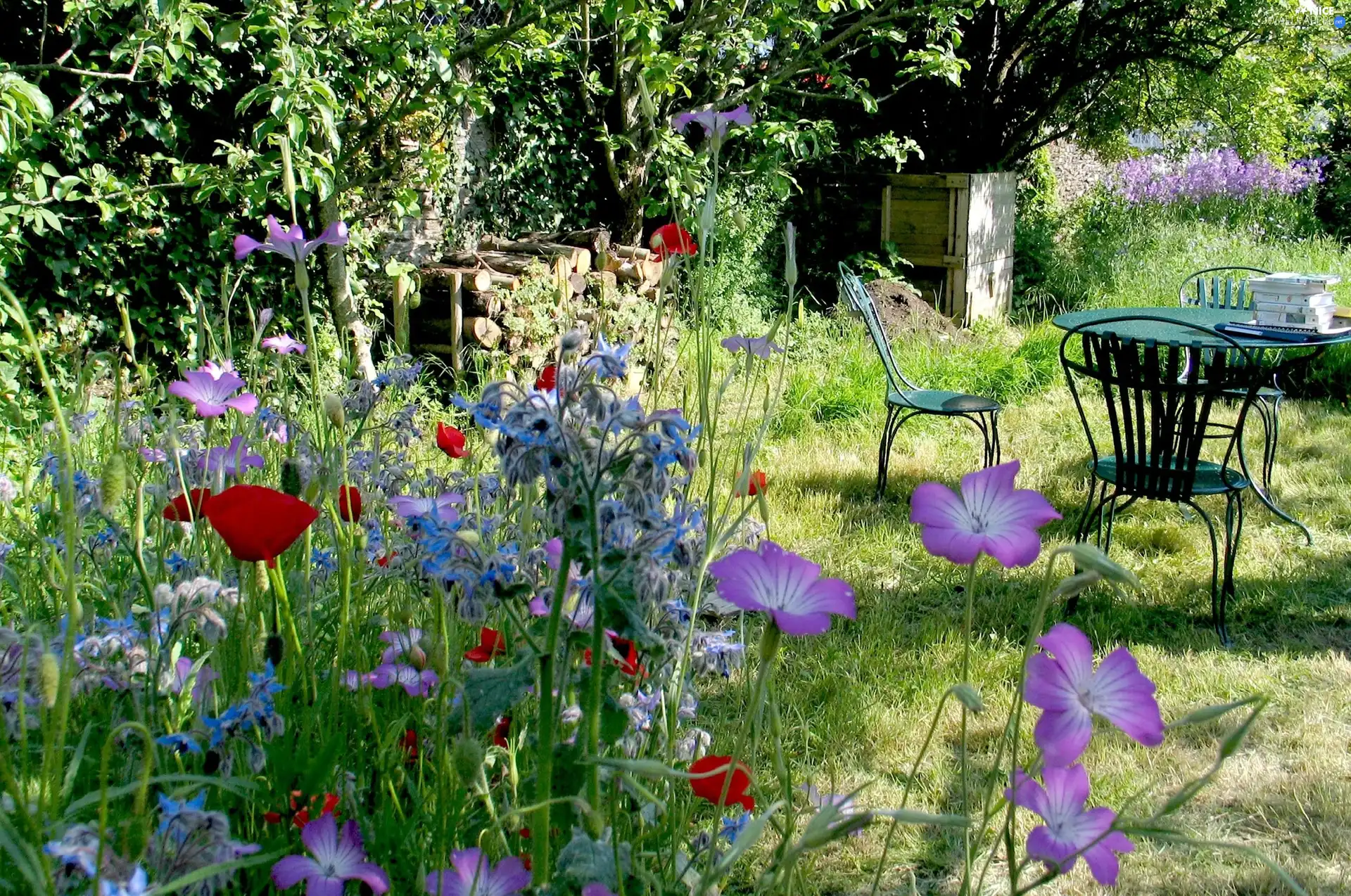 Garden, table, Stool, Flowers