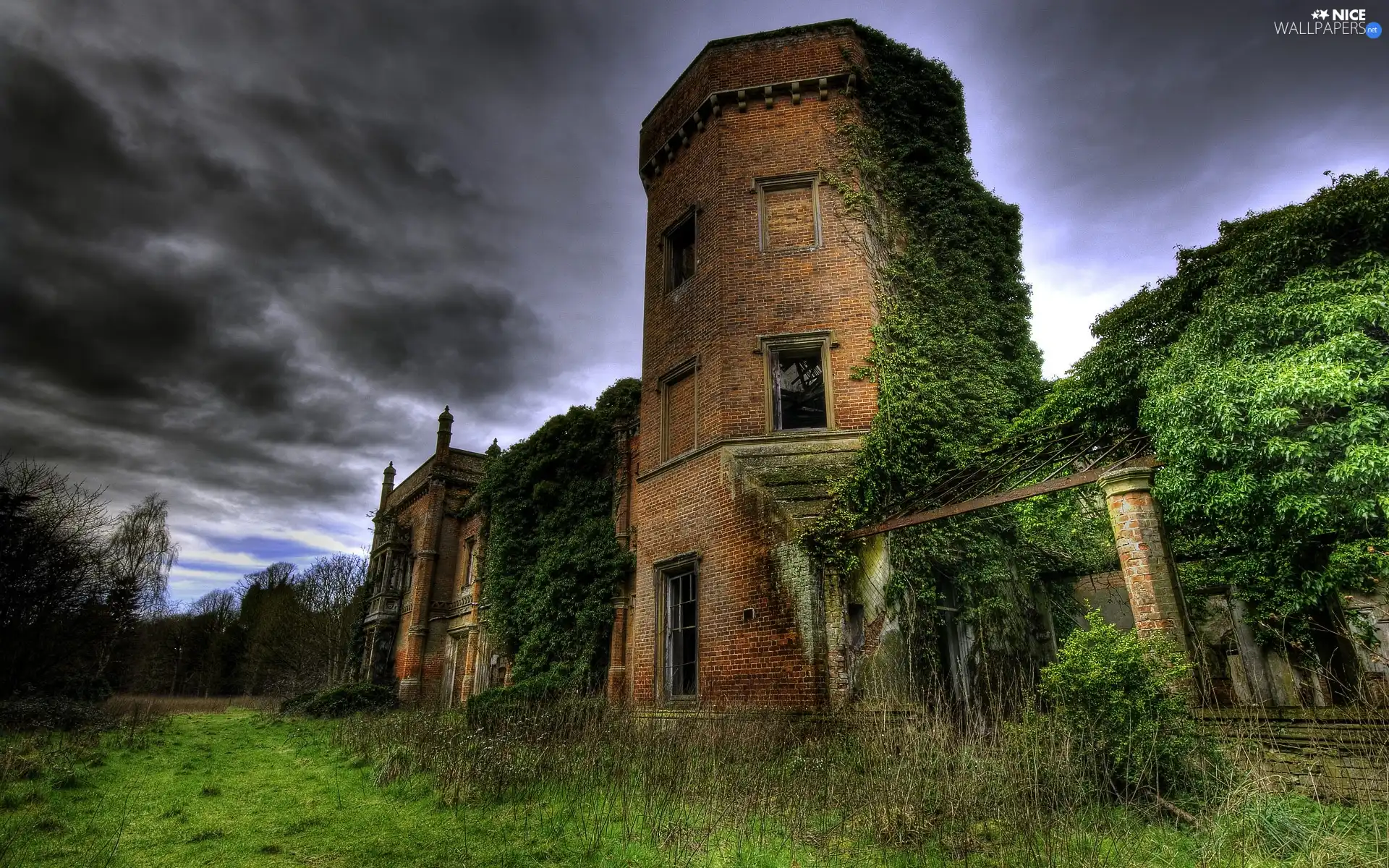 storm, clouds, Covered, flora, ruins