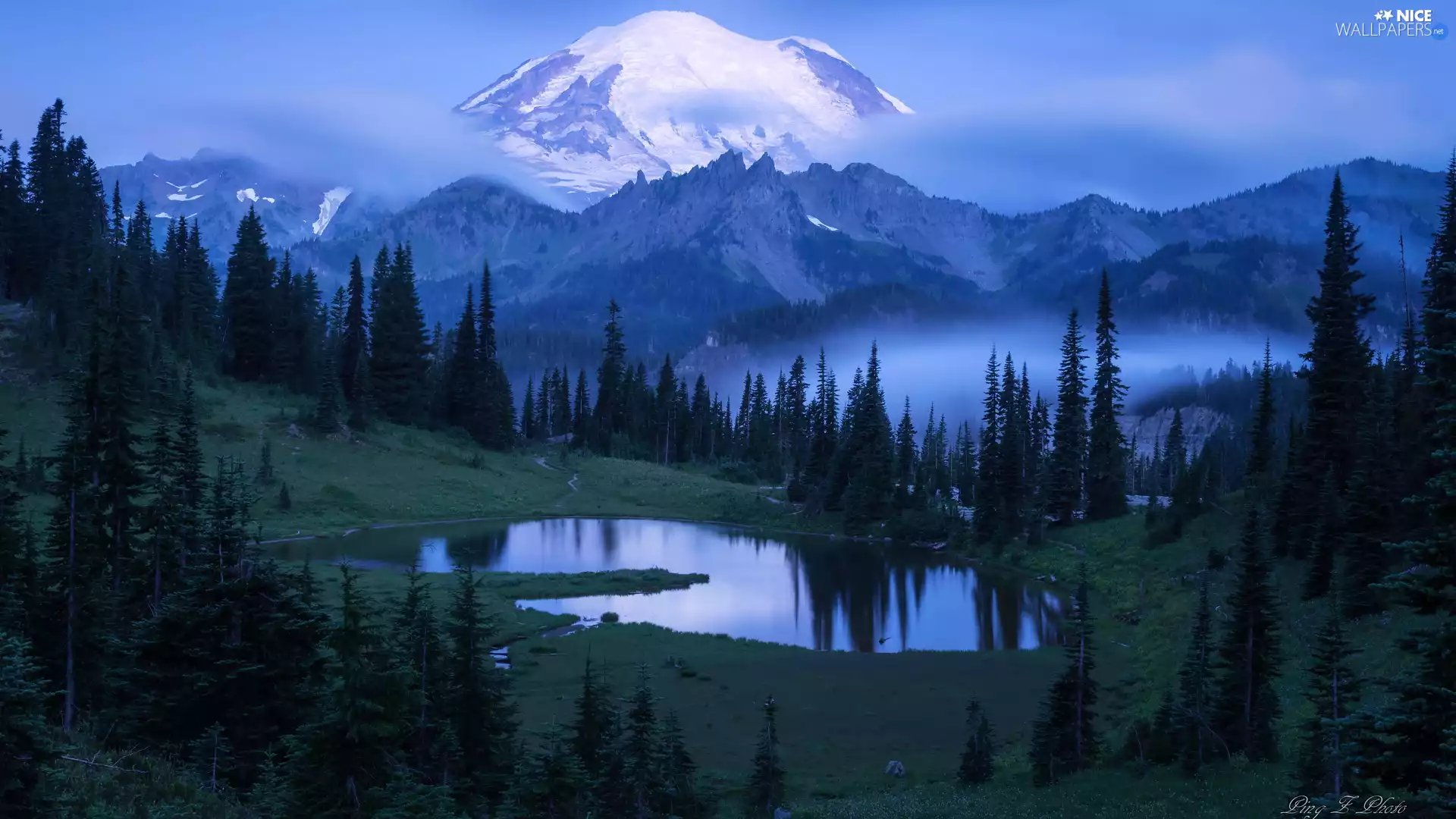 Mountains, Mount Rainier National Park, Stratovolcano Mount Rainier, trees, Washington State, The United States, Lake Tipsoo, Fog, viewes