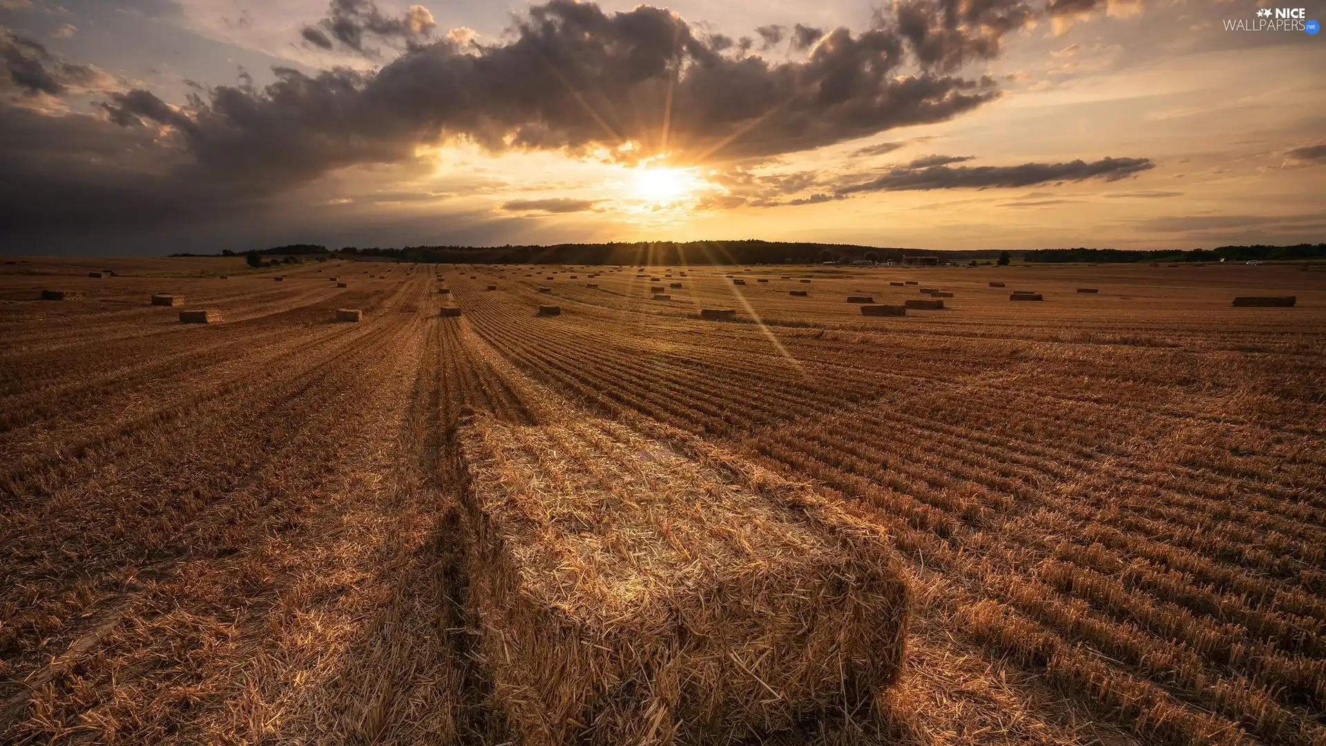 Field, Sunrise, Bele, straw, stubble, clouds