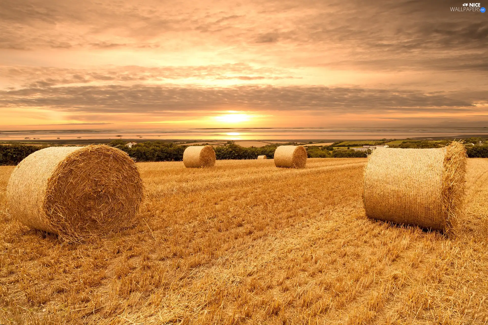 straw, harvest, sun, field, west
