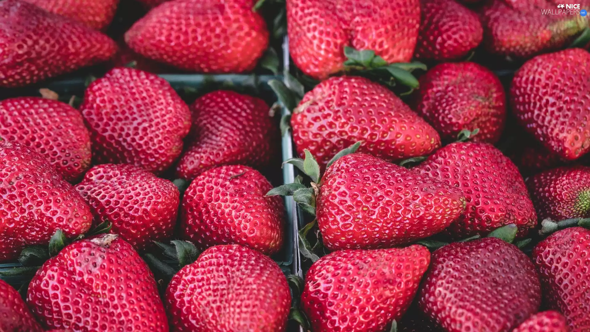 strawberries