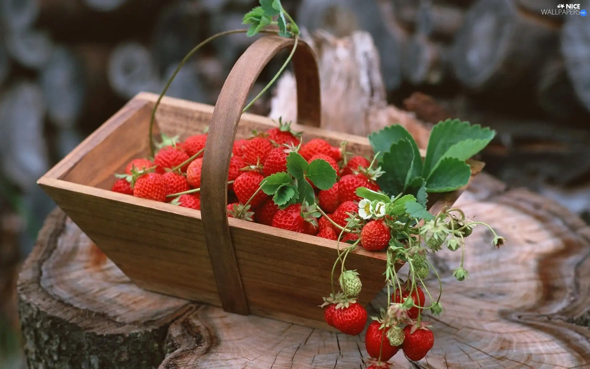 basket, strawberries