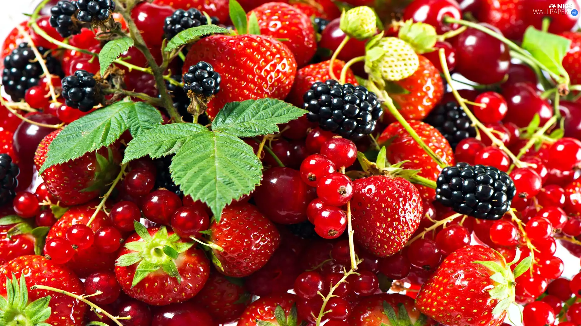 Fruits, blackberries, currants, strawberries