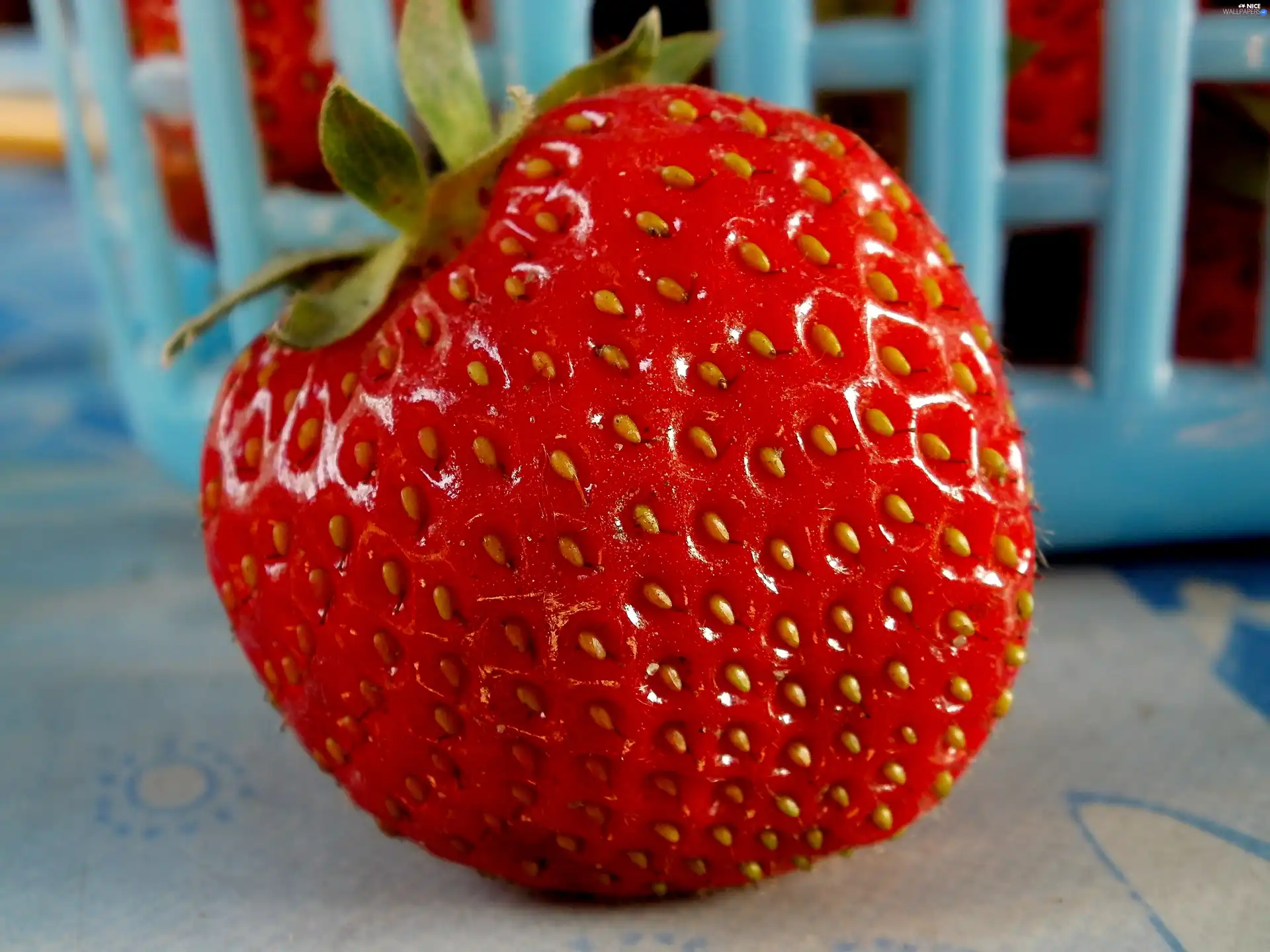 Strawberry