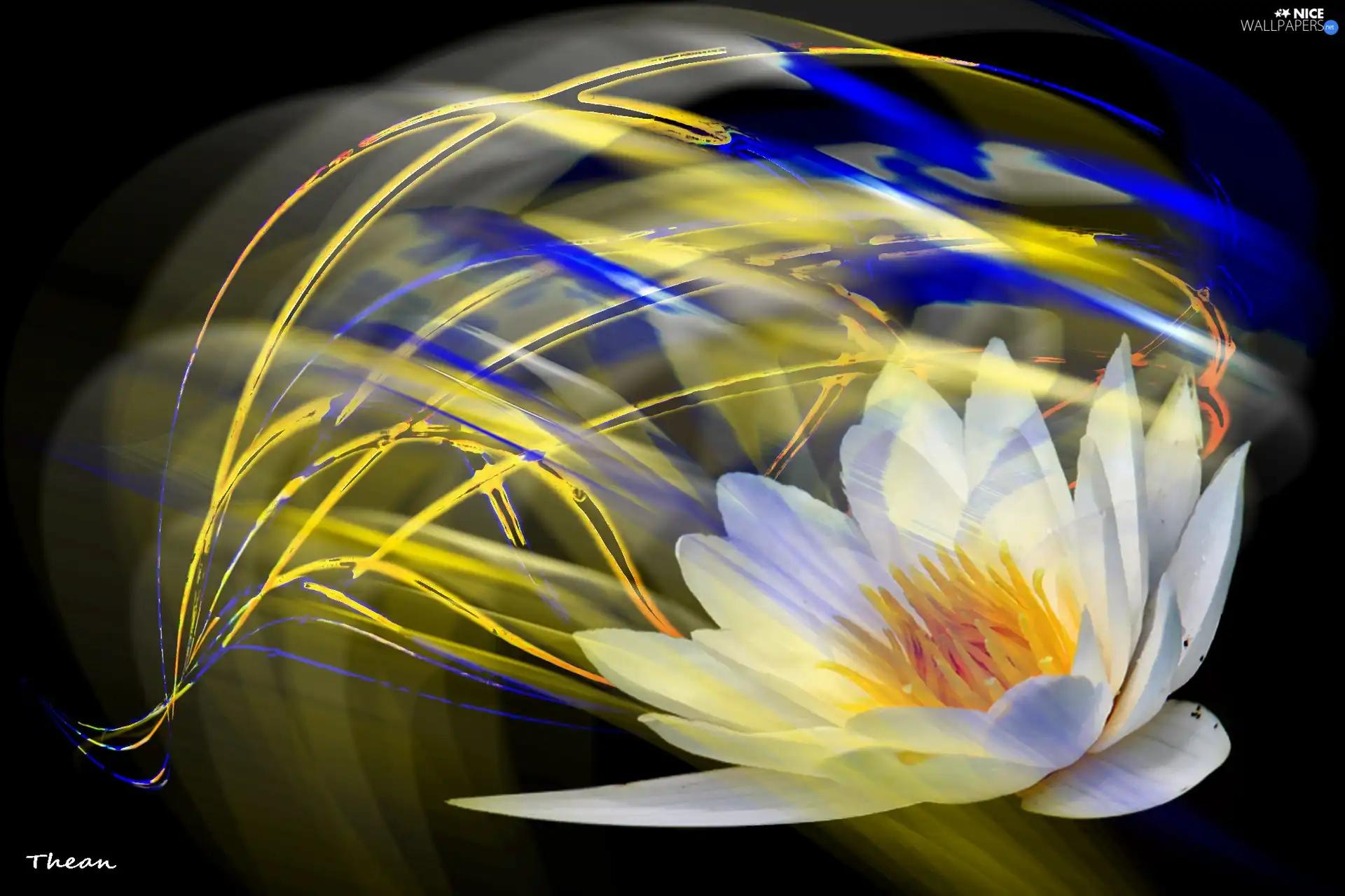 streaks, graphics, water, color, Lily