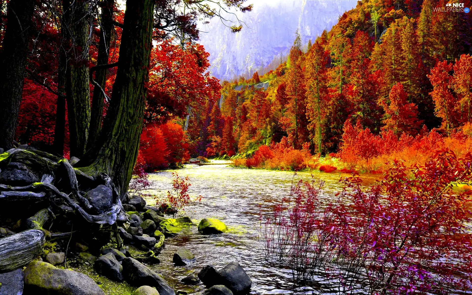 autumn, forest, stream, Mountains