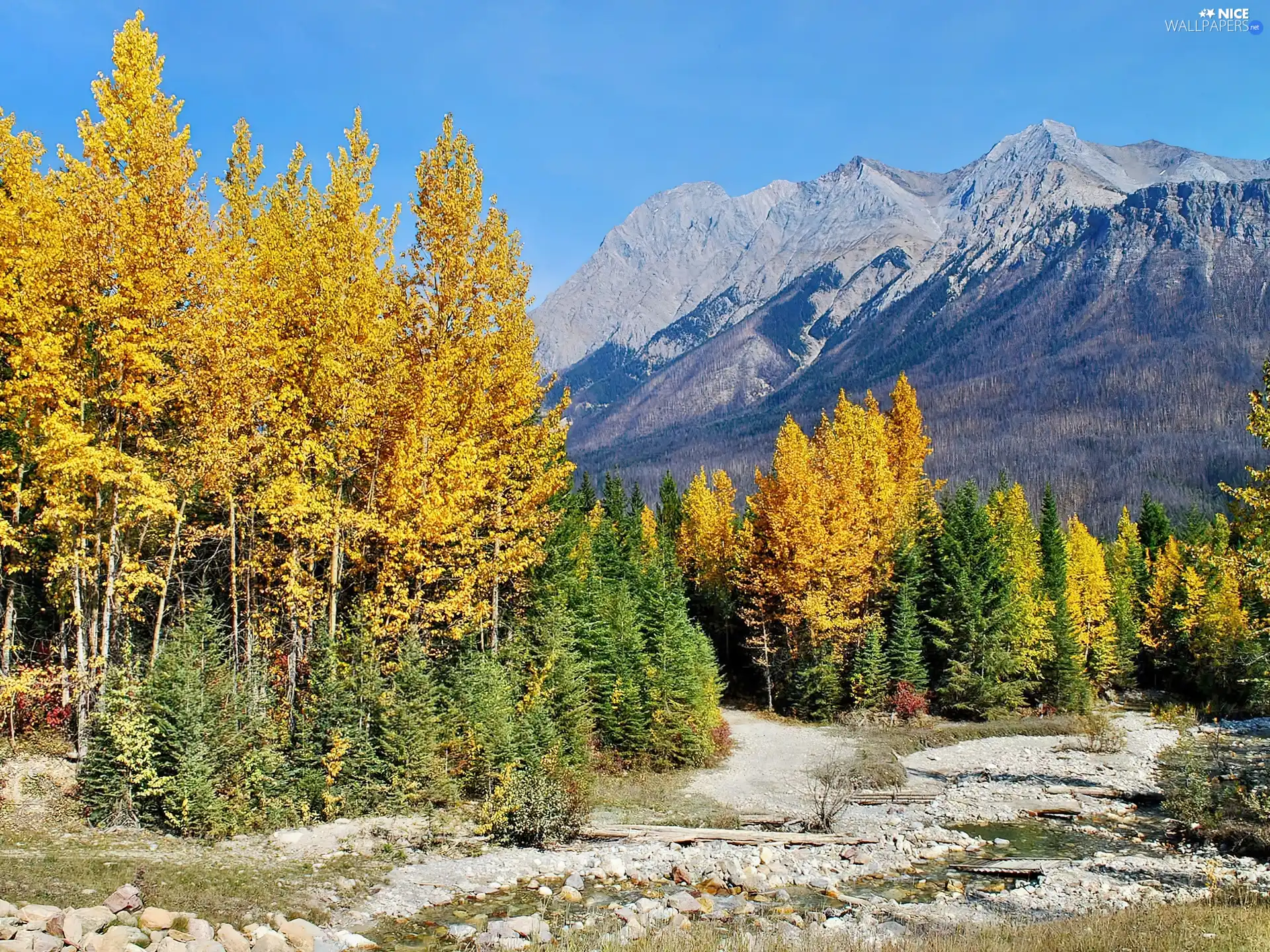 stream, Mountains, autumn